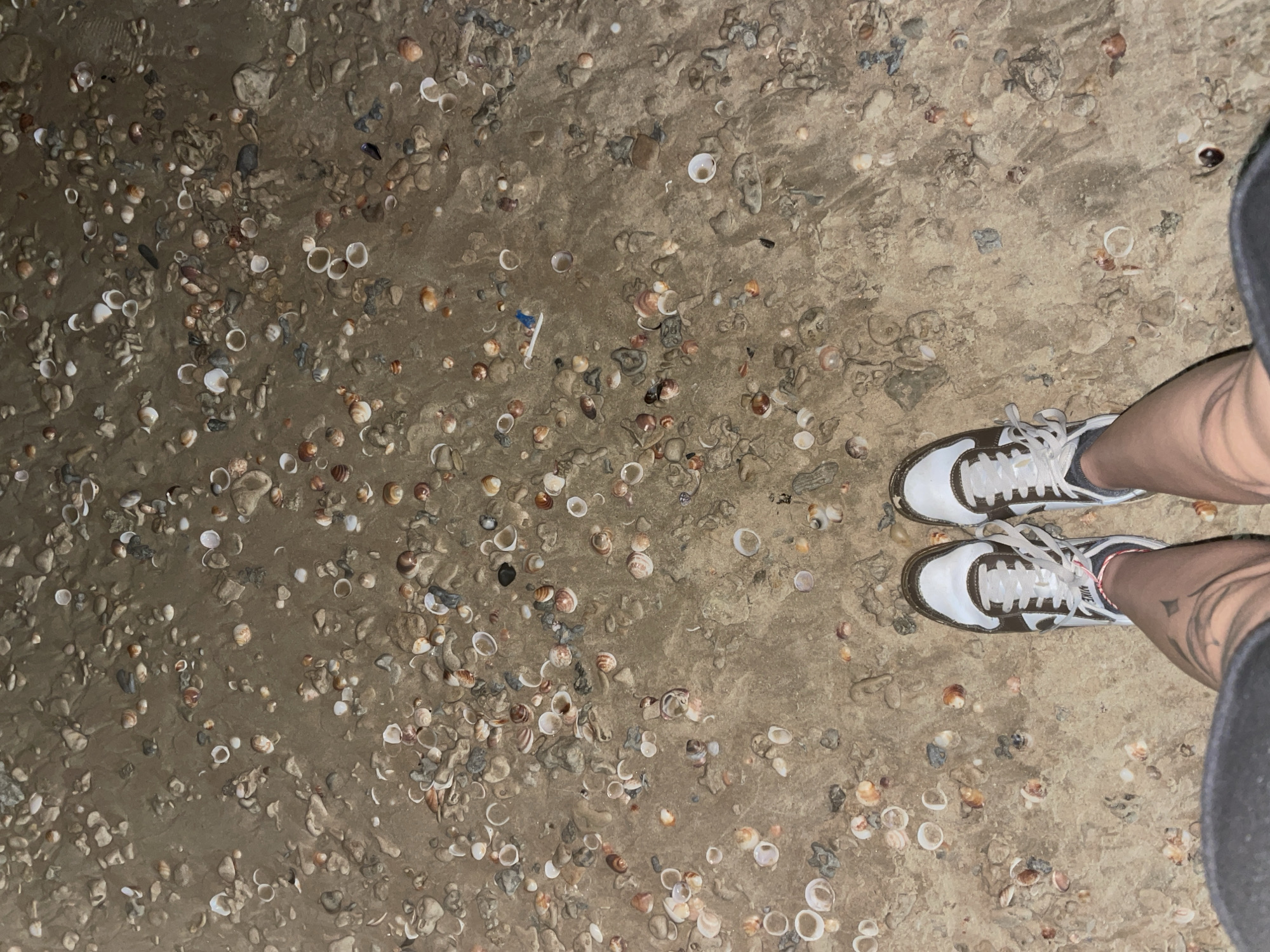 The image shows a pair of white and brown sneakers standing on a beach covered with shells and sand. The viewpoint is from above, looking down at the feet and the beach. The sneakers are laced and appear to be athletic shoes. The sand is damp, with small waves of water visible in some areas. The shells are of various sizes and colors, ranging from white to brown and gray. The overall scene suggests a casual walk or visit to the beach. The location is identified as Herzliya, Israel, a coastal city known for its beaches.