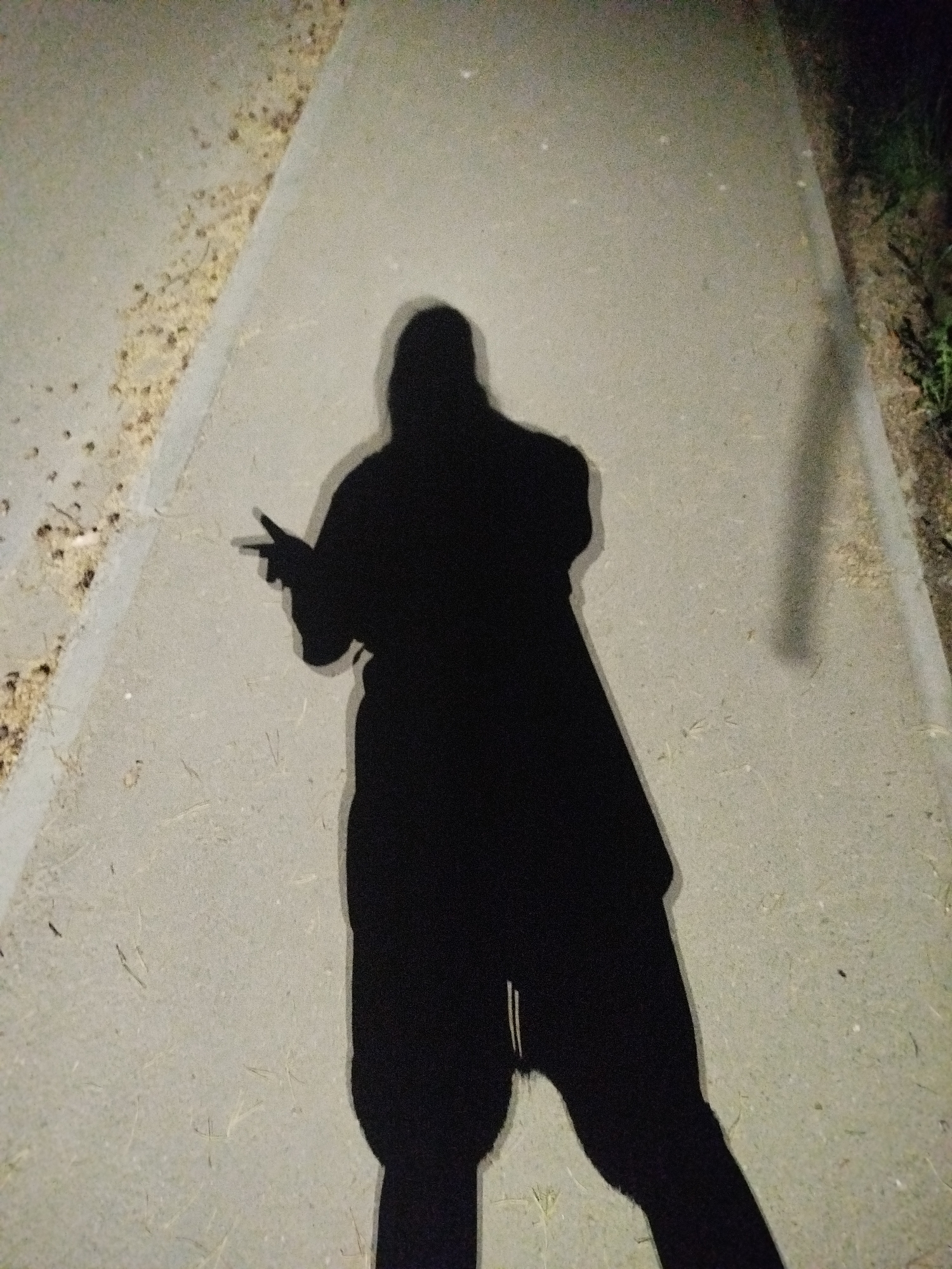 A full-body shadow of a person is cast on a concrete walkway. The shadow suggests the person is wearing long pants and a coat or long shirt. The person is making a hand gesture with their left hand, possibly mimicking a gun. Part of another shadow is visible on the top right. The walkway is bordered by what appears to be dirt and vegetation on the right and a different textured surface on the left. The location is Unknown, Unknown.