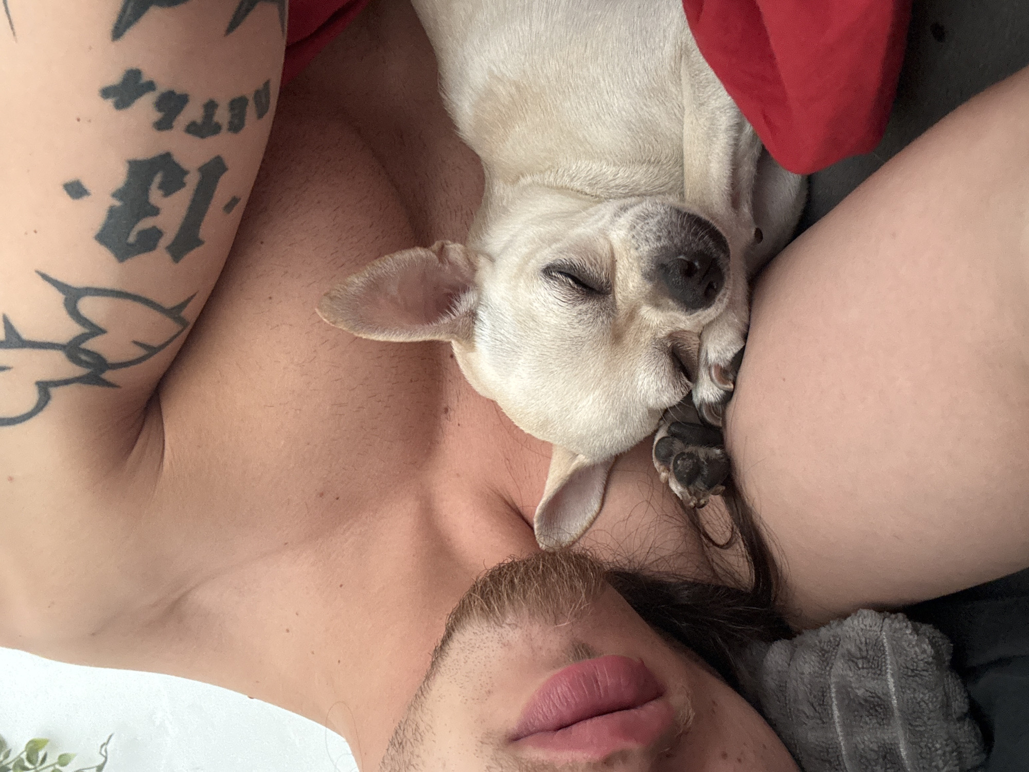A man and a small dog are lying down together. The man is shirtless and has a tattoo on his left arm. His face is close to the camera, showing a mustache and full lips. The light-colored dog is nestled on his chest, with its eyes closed. A red cloth is partially visible above the dog. The background is blurry, revealing a grey towel. The location is unknown and may not be in the city of Sofia, Bulgaria.