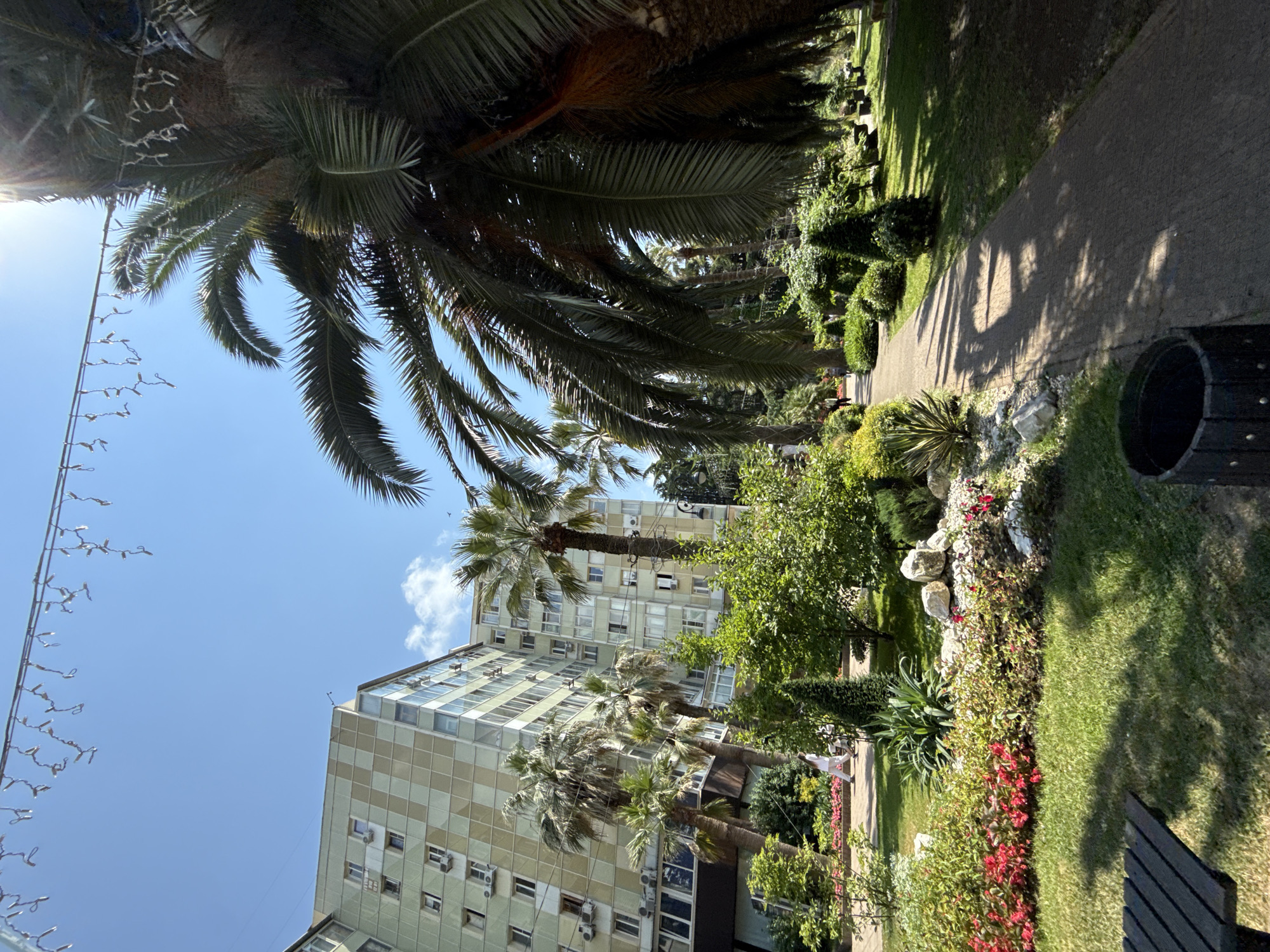 This media file depicts an outdoor scene with a clear blue sky, suggesting fair weather during the daytime. The foreground is dominated by the fronds of a large palm tree, casting shadows on a paved walkway that curves through a well-maintained garden. The garden features lush green grass, meticulously trimmed bushes, and a vibrant flower bed with red and pink blooms. Large rocks are interspersed within the garden, adding a natural element.
Further in the background, several multi-story buildings with numerous windows are visible, hinting at an urban or resort setting. The architecture of these buildings suggests a potentially older construction style. The presence of palm trees and the style of the buildings might indicate a location in a warm climate, consistent with the provided location context of Sochi, Russia.
There are no people clearly visible in the scene. The overall impression is one of a peaceful, sunny day in a landscaped area, possibly a park or resort grounds. The lighting suggests it is likely mid-morning or afternoon, with the sun high in the sky. No visible text is present in the image.