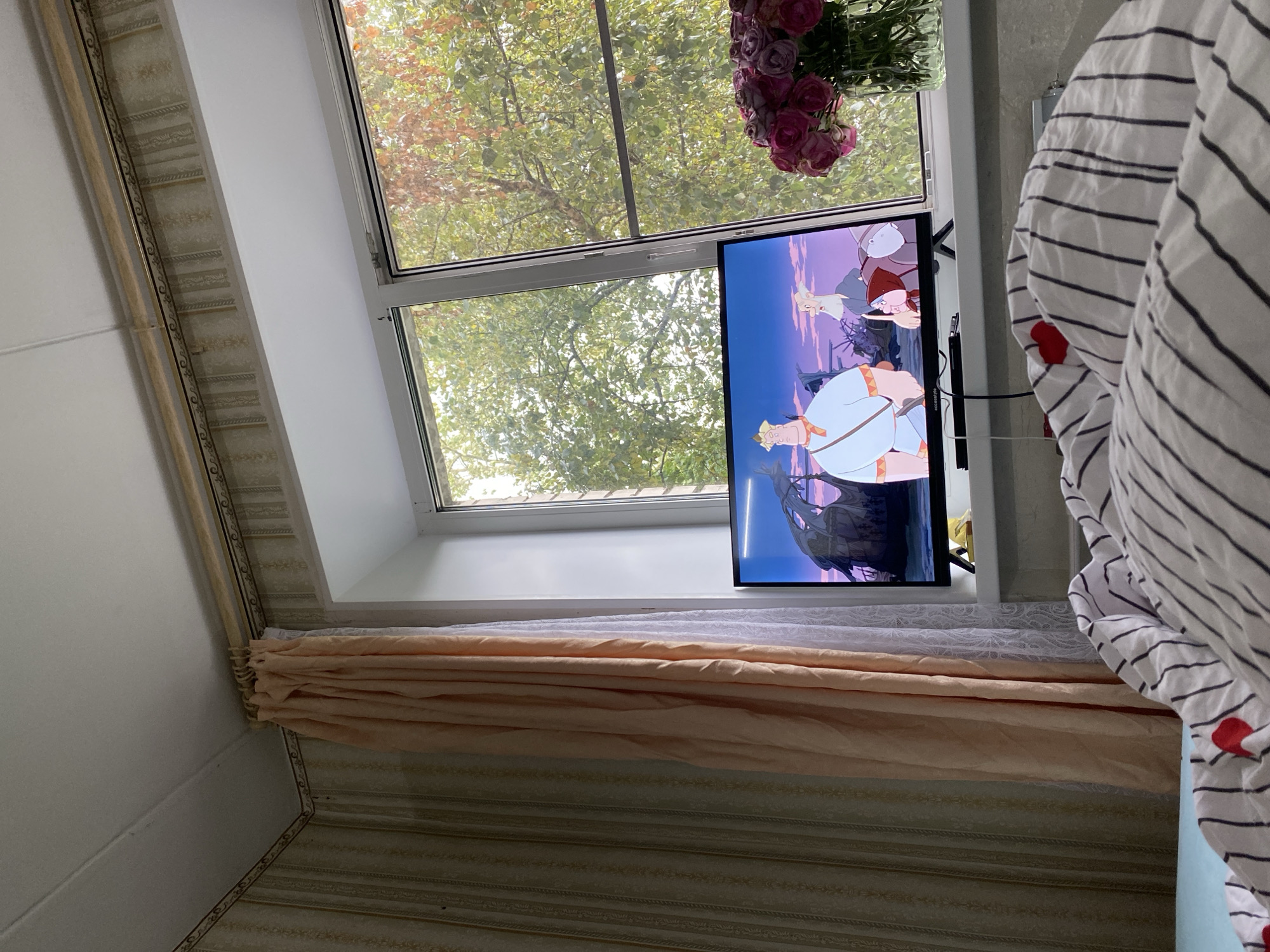 The image depicts a television screen displaying an animated scene with two male characters and a female character, placed on a windowsill. To the right of the television, a glass vase holds a bouquet of purple roses. The windowsill overlooks a window with a view of green and autumnal trees. A peach-colored curtain hangs to the left of the window. In the foreground, a bed with striped bedding is visible. The wallpaper features a vertical striped pattern with ornamental borders. The scene appears to be an interior of a room in Lomonosov, Russia.