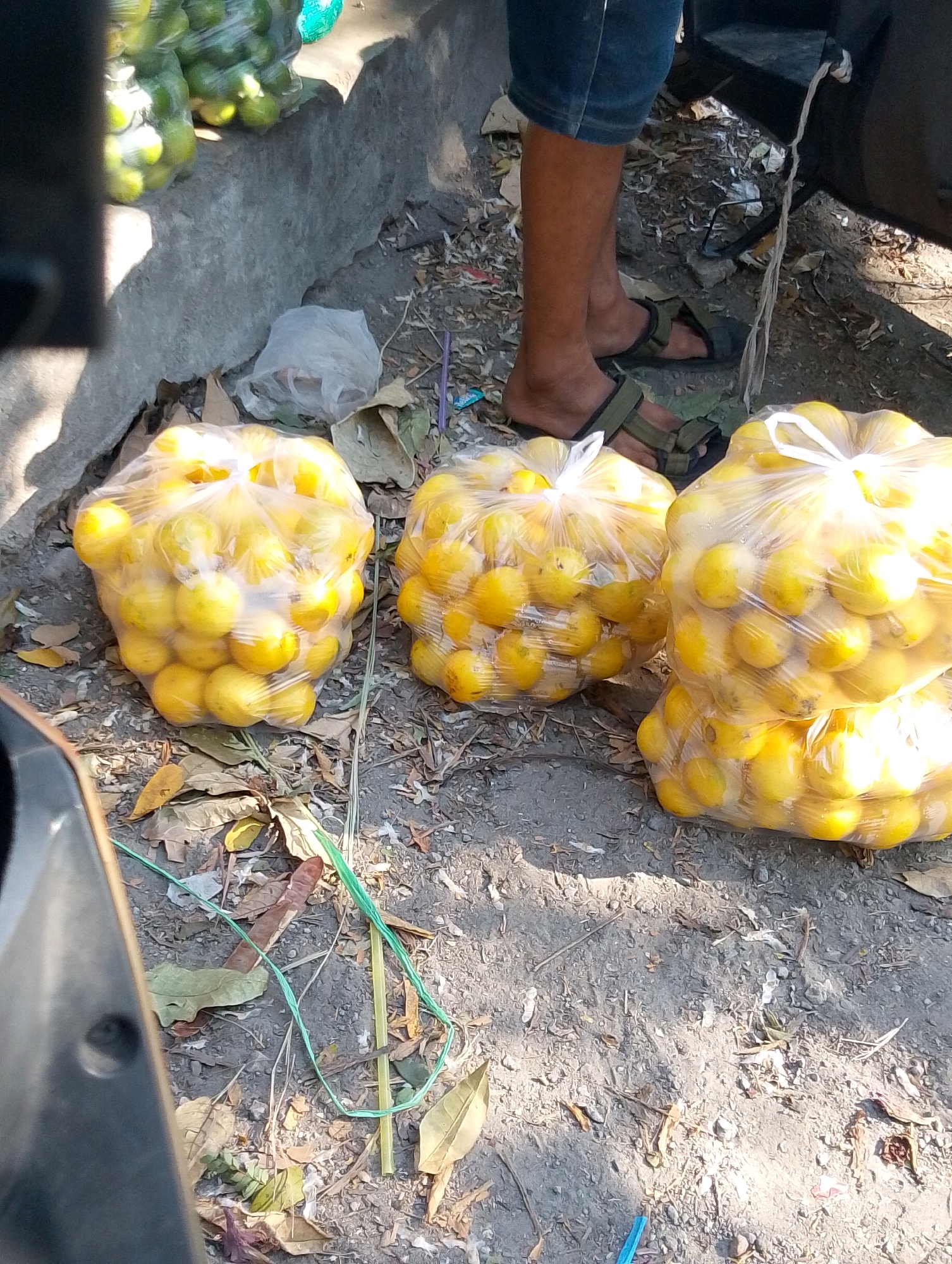 In Guyangan, Indonesia, three large plastic bags filled with lemons are displayed on a rough, dirt ground. The bags are transparent, allowing the bright yellow lemons to be clearly visible. The lemons are rounded and appear to be ripe. The ground is littered with dry leaves and small debris. In the background, a person's legs are visible, wearing denim shorts and dark sandals. The person is standing near a dark object, possibly a vehicle. To the left of the lemons, a concrete structure is visible, and in the upper left corner, more lemons, covered in plastic, are stacked. The scene appears to be an outdoor market or roadside stall.