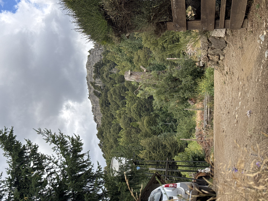 A mountainous landscape under a cloudy sky, featuring dense green trees covering a hillside. A dirt path is visible on the right, leading towards a wooden structure. In the foreground, a silver car sits near a pine tree, with a satellite dish appearing above it. The scene conveys a rural setting, with nature prominently displayed.
