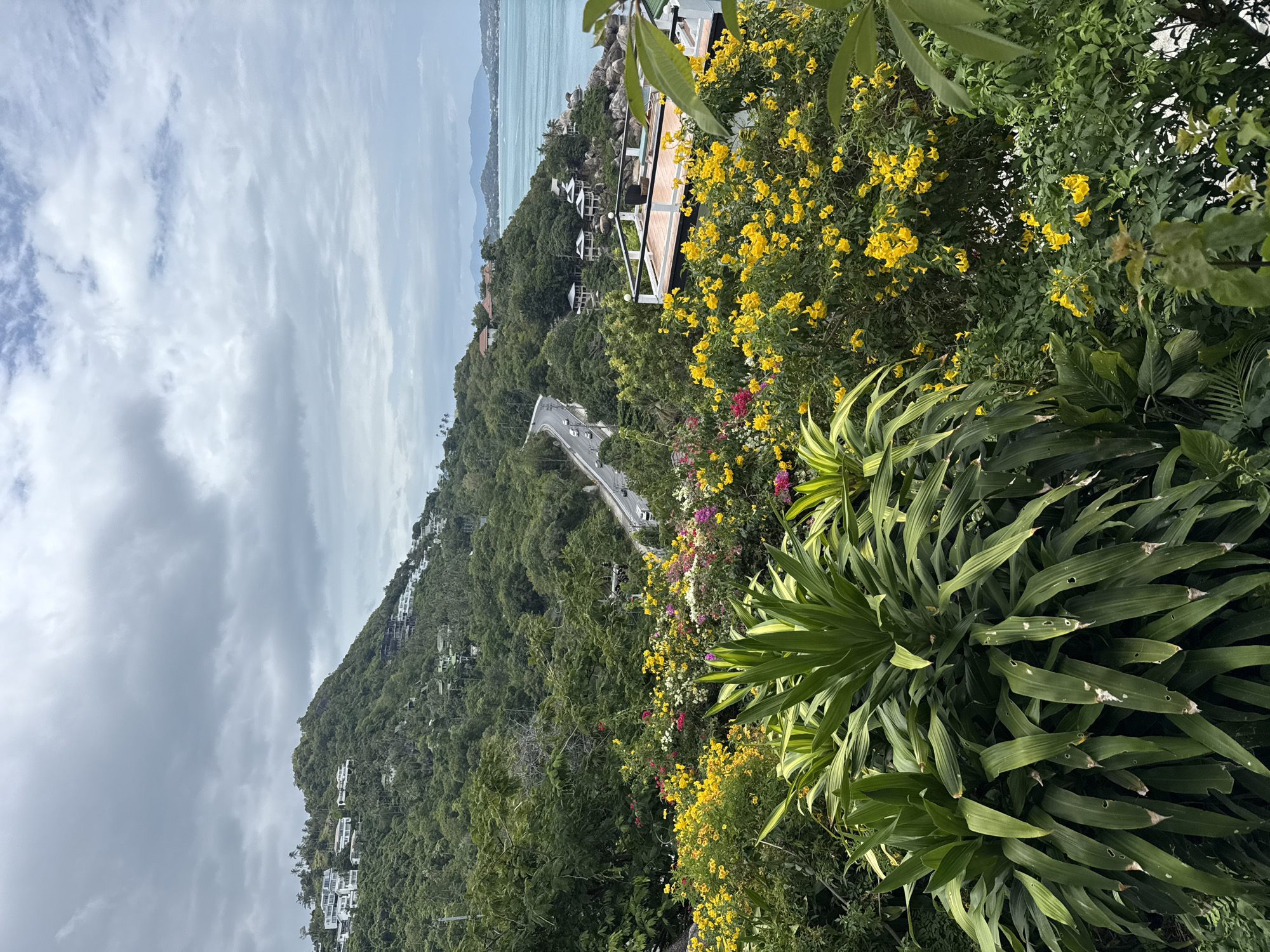 This is an outdoor, eye-level, medium shot captured on a cloudy day. The scene depicts a lush, green hillside overlooking the ocean in Ko Samui District, Thailand. In the foreground, there are large, broad-leafed green plants, interspersed with vibrant yellow and pink flowering bushes. A road with a few cars is visible winding up the forested hillside, where numerous white buildings, likely villas or residences, are scattered amongst the trees. The ocean stretches out to the horizon, with distant islands visible under the overcast sky. A white balcony with a railing and dark furniture is also visible on the right side of the image, extending out over the foliage.