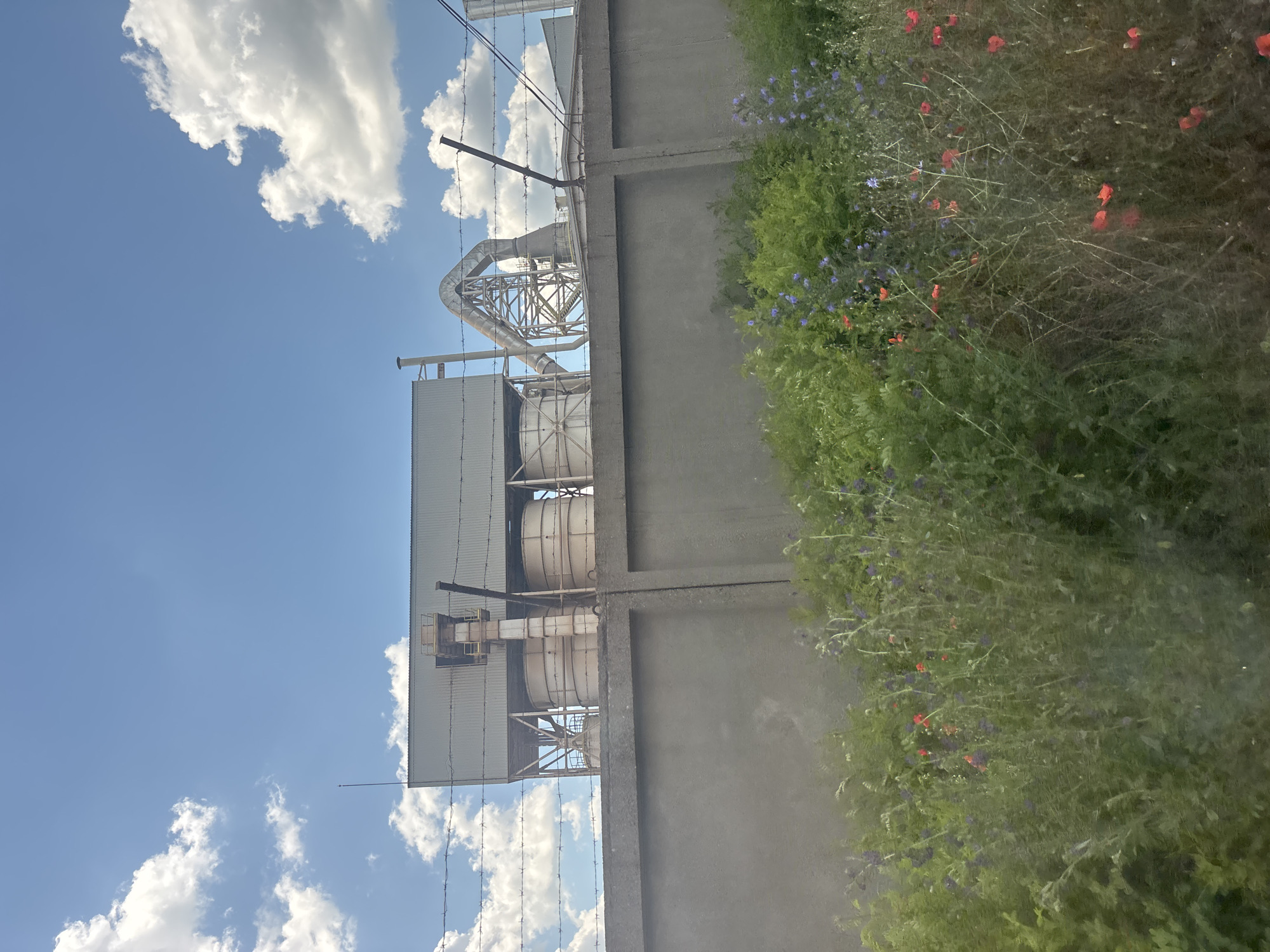 The image depicts a view of an industrial facility situated in Propast, Bulgaria. A concrete wall forms a barrier in the foreground, behind which several large, cylindrical storage silos are visible. These silos are connected by a complex network of pipes and metallic structures, suggesting an active industrial operation. Above the silos, a corrugated metal roof covers a large building. Barbed wire is strung along the top of the concrete wall, a common security measure. The sky above is a bright blue, dotted with fluffy white clouds. In front of the concrete wall, a dense patch of greenery thrives, featuring a variety of plants, including wildflowers such as poppies, identifiable by their red petals, and other small blue flowers. The overall scene is one of industrial infrastructure juxtaposed with natural elements.