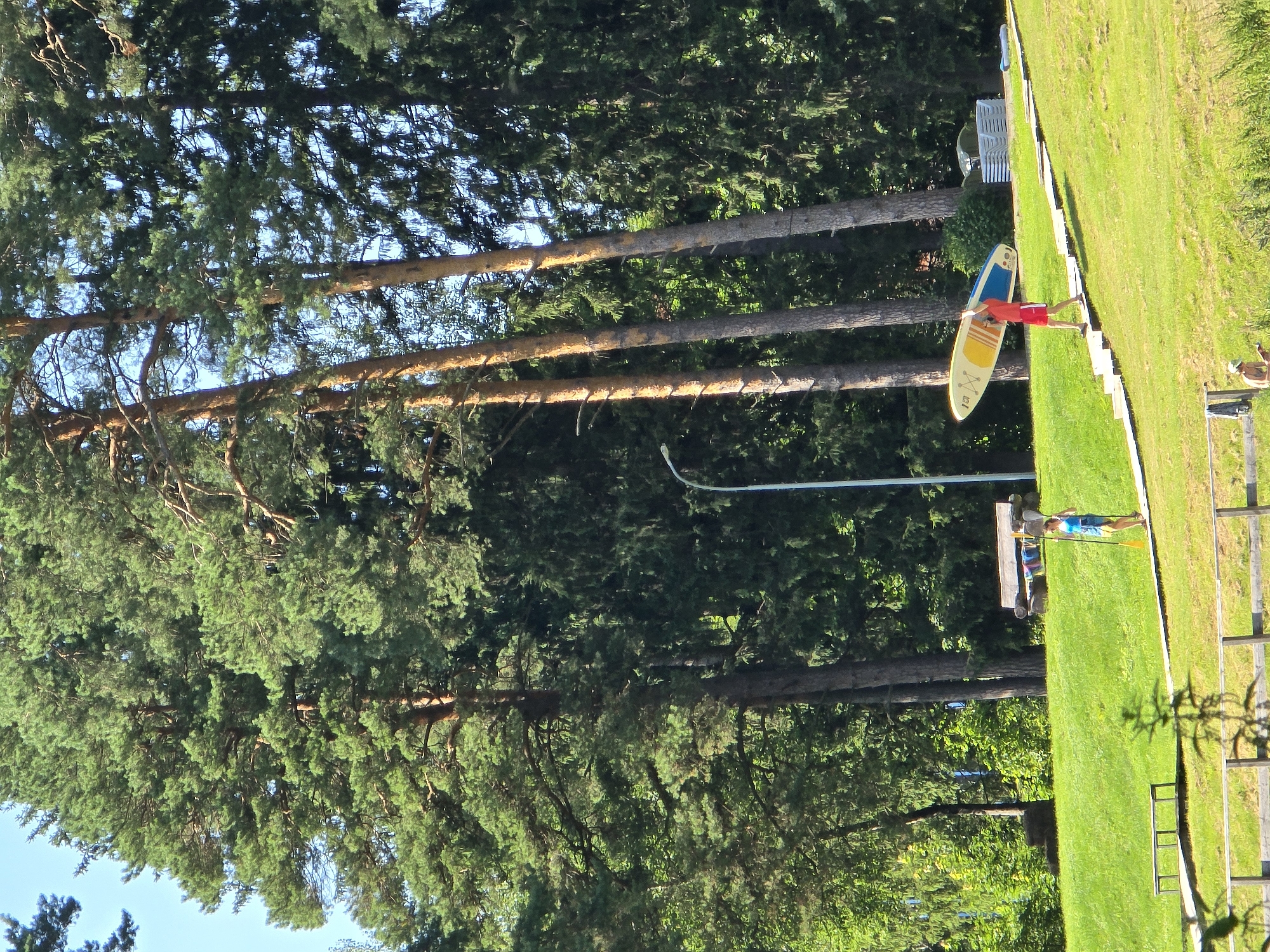 In Voinskaya Chast' Mchs, Russia, a sunny, outdoor scene unfolds with a backdrop of tall pine trees and a clear blue sky. The foreground features a manicured green lawn with several wooden benches and a wooden pathway that ascends a gentle slope.
On the pathway, two individuals are present. One, a person wearing a blue tank top and shorts, walks with a paddle in hand, holding it vertically. Further up the path, another person, dressed in a red t-shirt and red shorts, carries a paddleboard overhead. The paddleboard is yellow and blue.
In the background, more pine trees create a dense forest. A wooden bench is visible on the lawn, accompanied by what appear to be folded towels or blankets. In the far background, stacked white loungers and a light blue mat suggest a recreational area, possibly near a body of water. The lighting indicates a bright, daytime setting.