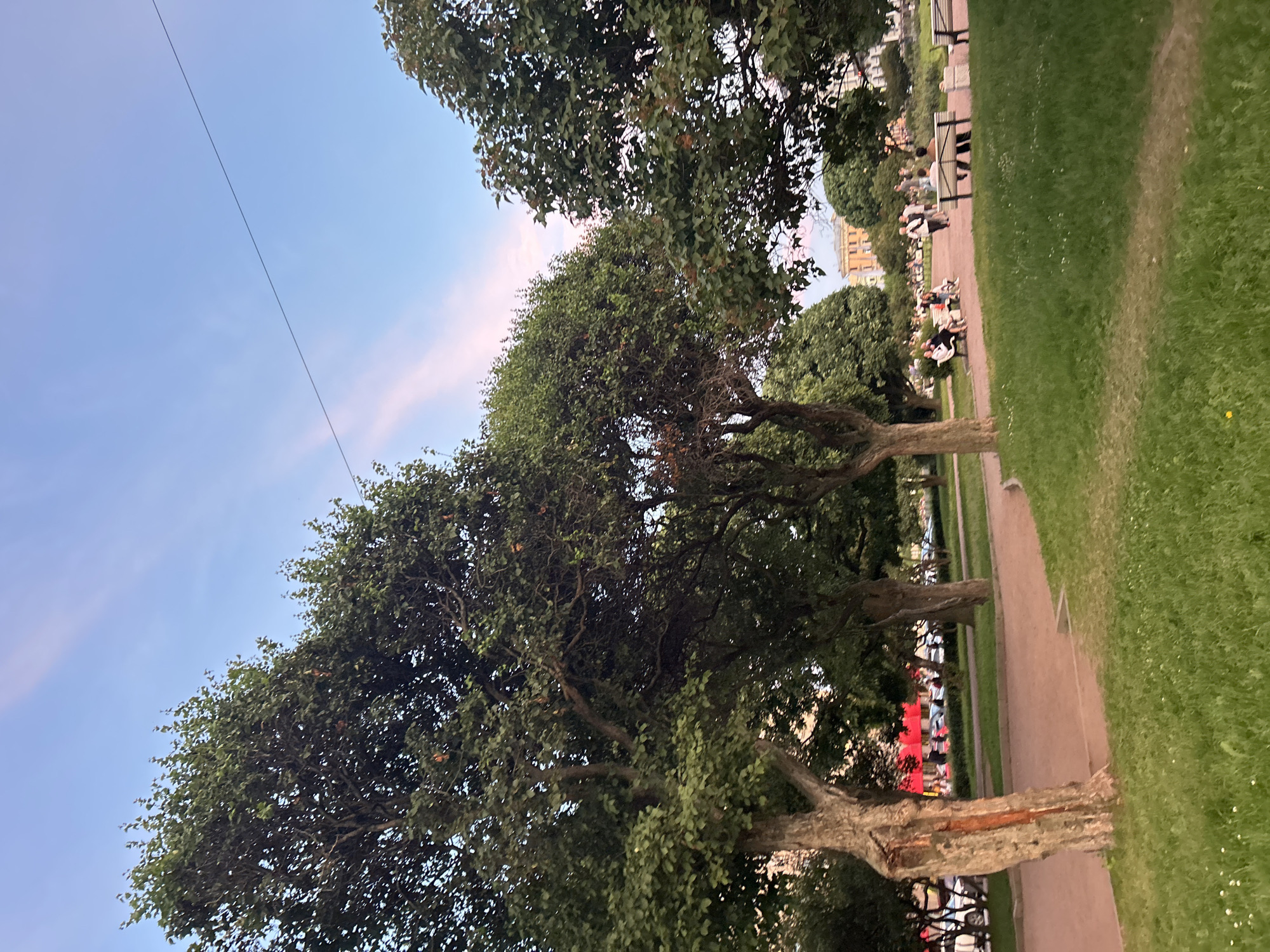 The image captures a park scene with mature trees, a paved walkway, and a grassy area. In the background, several people are visible, some seated on park benches and others standing and walking. There is a building structure in the distance, and cars are parked along a street. The sky is a gradient of blue with hints of pink, suggesting it is either early morning or late evening. The overall ambiance is tranquil and leisurely.