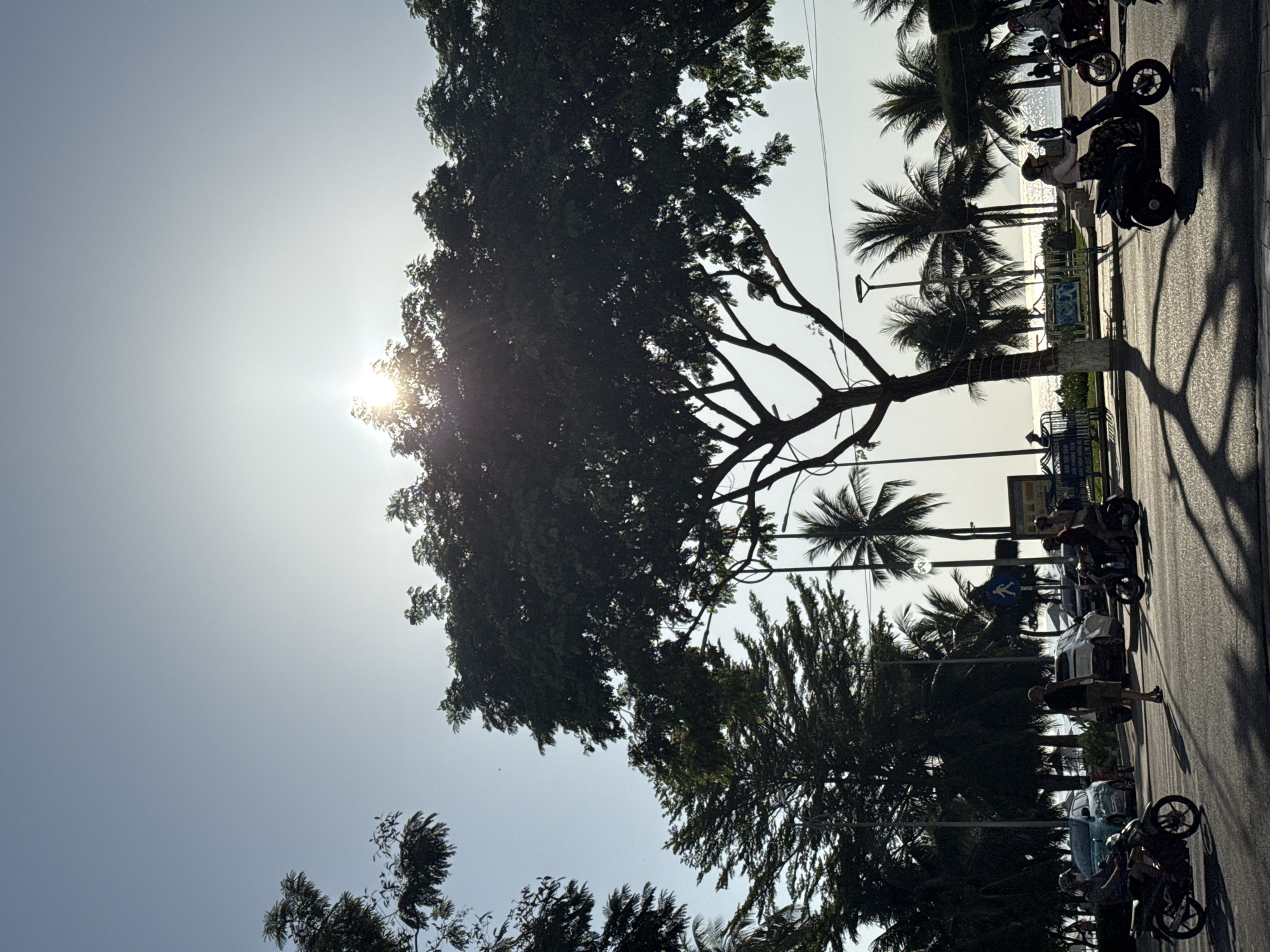 This image depicts a street scene in Nha Trang, Vietnam, likely during the late afternoon or early evening, given the low angle of the sun and the long shadows cast. The sun is prominently visible in the sky, partially obscured by the dense foliage of a large tree in the foreground, creating a lens flare effect.
The street is paved with asphalt and appears to be a busy thoroughfare. Several motorcycles and scooters are present, with riders in motion. On the left side of the street, a person is riding a black motorcycle. In the center, a man is walking across the street, and two people are riding a scooter. On the right side, two more motorcycles are visible, one carrying two people. Cars are also parked or moving in the background.
The environment features a variety of trees, including palm trees, lining the street, with lush green leaves. Beyond the trees, a body of water, likely the sea, is visible, with sunlight shimmering on its surface. The sky is a clear, pale blue. Streetlights and signs are also present, indicating an urban setting. The overall atmosphere is one of a vibrant, tropical city.
