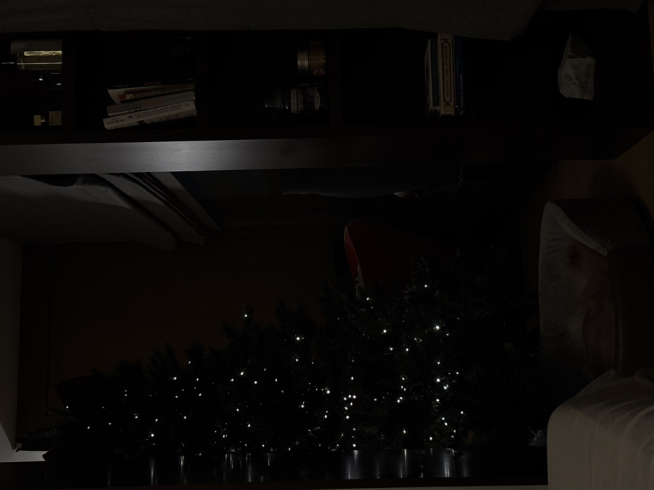 A shelf holds books, jars, and a rock. Below, a line of small Christmas trees with white lights stretches across the frame. The room is dark, and part of a couch is visible on the right, with a white pillow. A red stocking hangs on one of the trees.