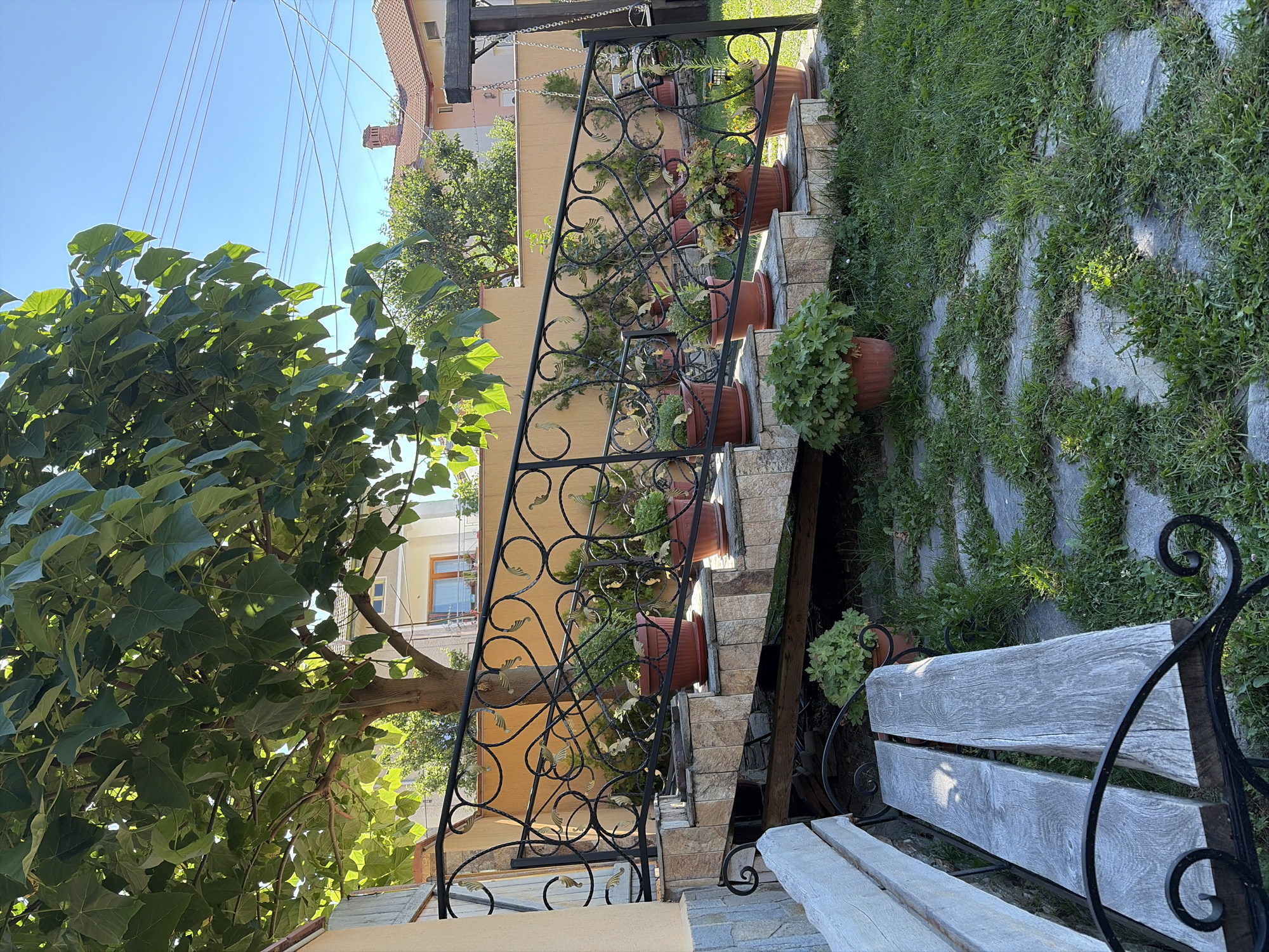 The image depicts a scenic outdoor area, possibly a backyard, in Smolyan, Bulgaria. In the foreground, a weathered wooden bench with a black metal frame sits on a patch of green grass interspersed with grey flagstone pathways. To the right of the bench, a set of outdoor stairs ascends, adorned with decorative black metal railings featuring a heart-shaped motif. Numerous potted plants, primarily with green foliage, are strategically placed along the steps and the surrounding area, adding to the lush ambiance. Behind the stairs, a tan-colored wall and the upper floors of houses are visible, indicating a residential neighborhood. A large tree with broad green leaves casts dappled shade over parts of the scene, and a clear blue sky with some faint power lines stretches across the upper portion of the image. The overall impression is one of a tranquil and well-maintained garden space.