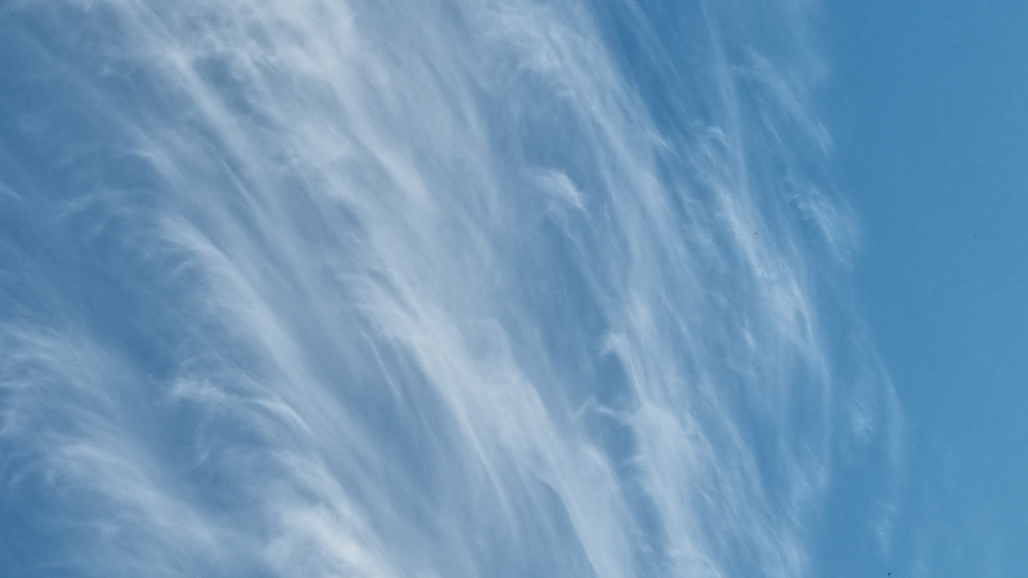 The image shows a clear blue sky with wispy white cirrus clouds. The clouds are thin and streaky, appearing to be blown by the wind from left to right. The lighting suggests it is daytime, with no harsh shadows indicating the sun's position. The overall scene is calm and serene, with no elements to suggest a specific location within Vysokoe, Russia, other than it is an outdoor scene. There are no people, subjects, objects, or actions depicted in the image.