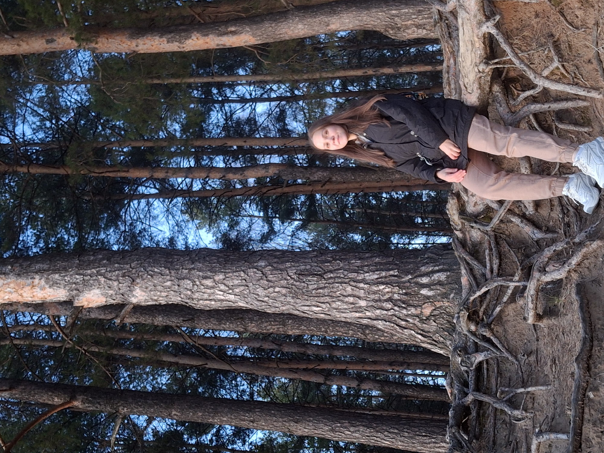 A young woman is resting against the roots of a large tree in a forest. She is wearing a black jacket, light brown pants, and white sneakers. The forest consists primarily of tall pine trees with visible bark texture, their branches reaching towards a blue sky. The photograph was taken in the city of Chaikovsky, Russia.