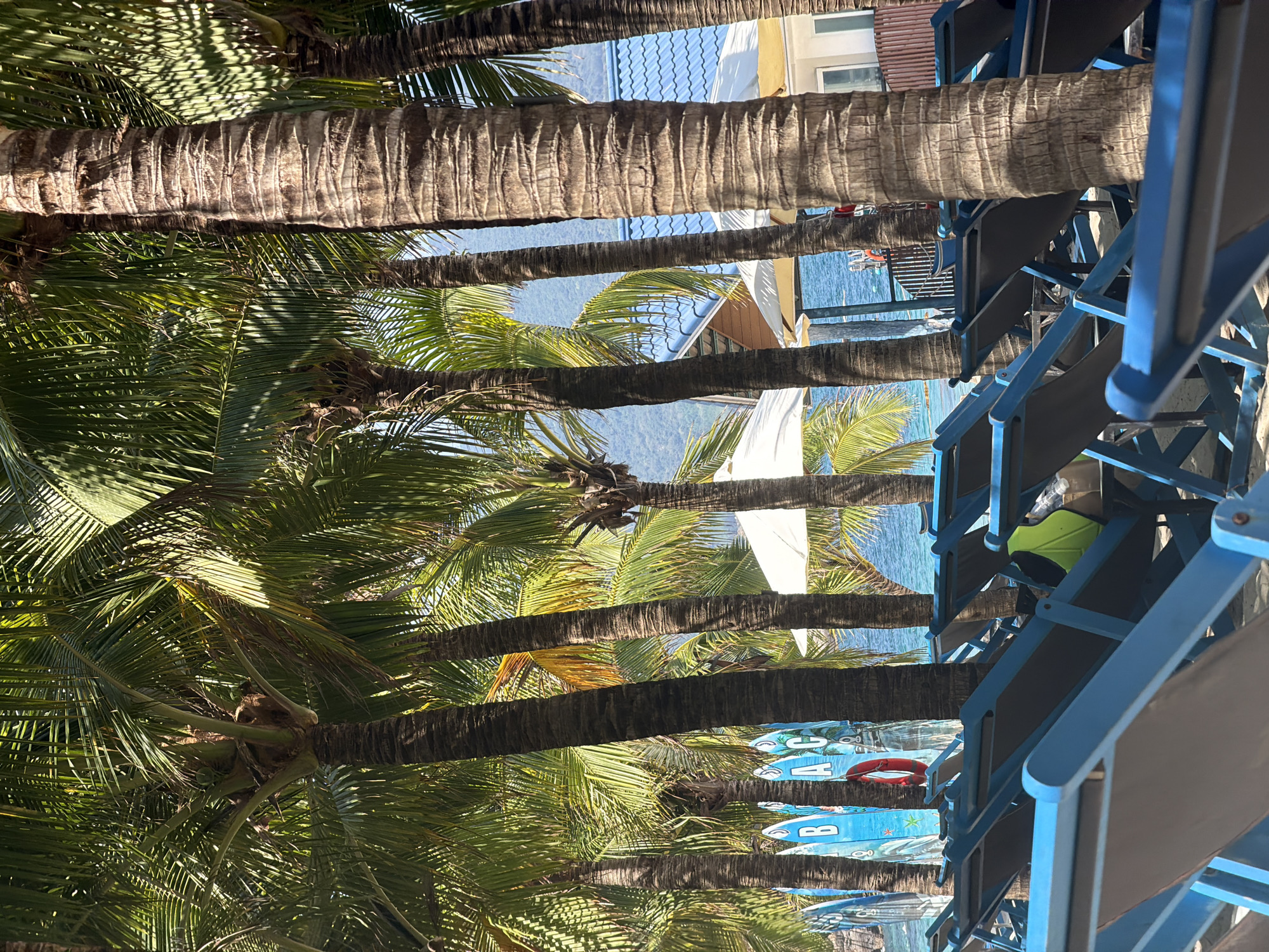 Captured in Nam Nha Trang Ward, Vietnam, the scene presents a view upward through a row of mature palm trees. The palm trunks are thick and textured, with green palm fronds cascading from the crowns. Between the trees, a glimpse of the ocean can be seen, along with buildings featuring blue roofs and white walls. In the foreground, a stack of blue beach chairs is partially visible on the right side of the frame. Some of the chairs are decorated with beach-themed imagery. The lighting suggests a bright, sunny day.