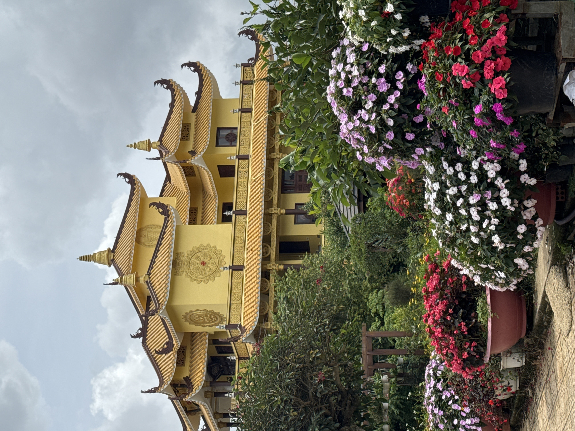 The image shows a yellow Buddhist temple with ornate, multi-tiered golden roofs and intricate decorative elements. The temple is surrounded by lush greenery and a vibrant display of flowering plants in pots and containers. The plants feature a variety of colors, including pink, red, and white blossoms. The ground in the foreground is paved with stone tiles. The sky is overcast. The architecture suggests an Asian aesthetic, likely found in a place with a cultural connection to Buddhism. This specific temple is believed to be Truc Lam Monastery in Da Lat, Vietnam, a well-known tourist destination characterized by its serene atmosphere and beautiful gardens. There are no people visible in the image.