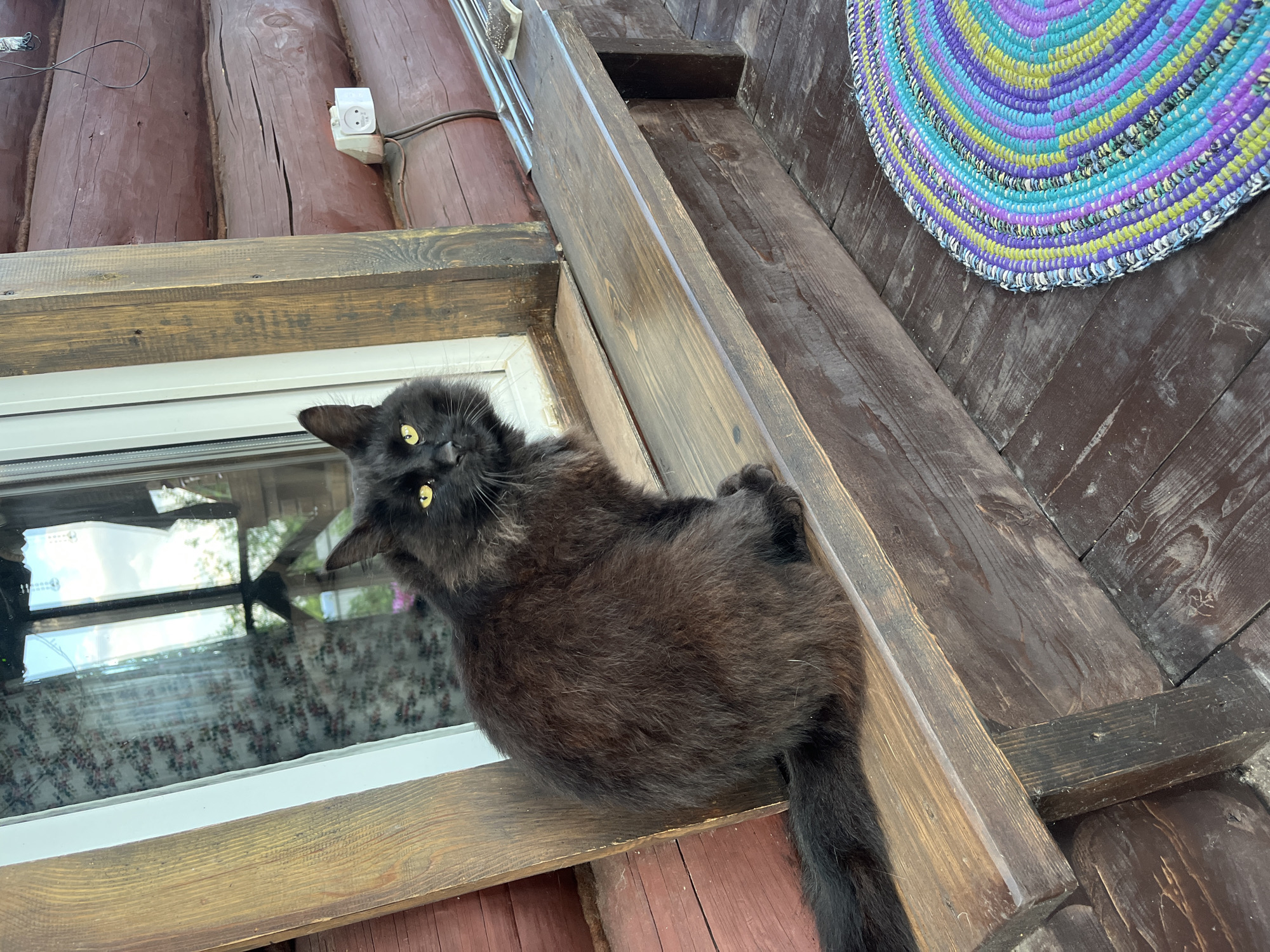 A black cat is perched on a wooden beam, looking up at the camera. The cat has bright yellow eyes and long, fluffy fur. It is lying on its side, with its paws tucked underneath its body. Behind the cat, there is a wooden wall with several logs and a white electrical outlet. A window with a white frame is visible to the left of the cat, and a colorful, circular rug hangs on the wall in the upper right corner of the frame. The scene appears to be outdoors, possibly on a porch or balcony, given the wooden structure and the open sky reflected in the window. The lighting suggests it is daytime.