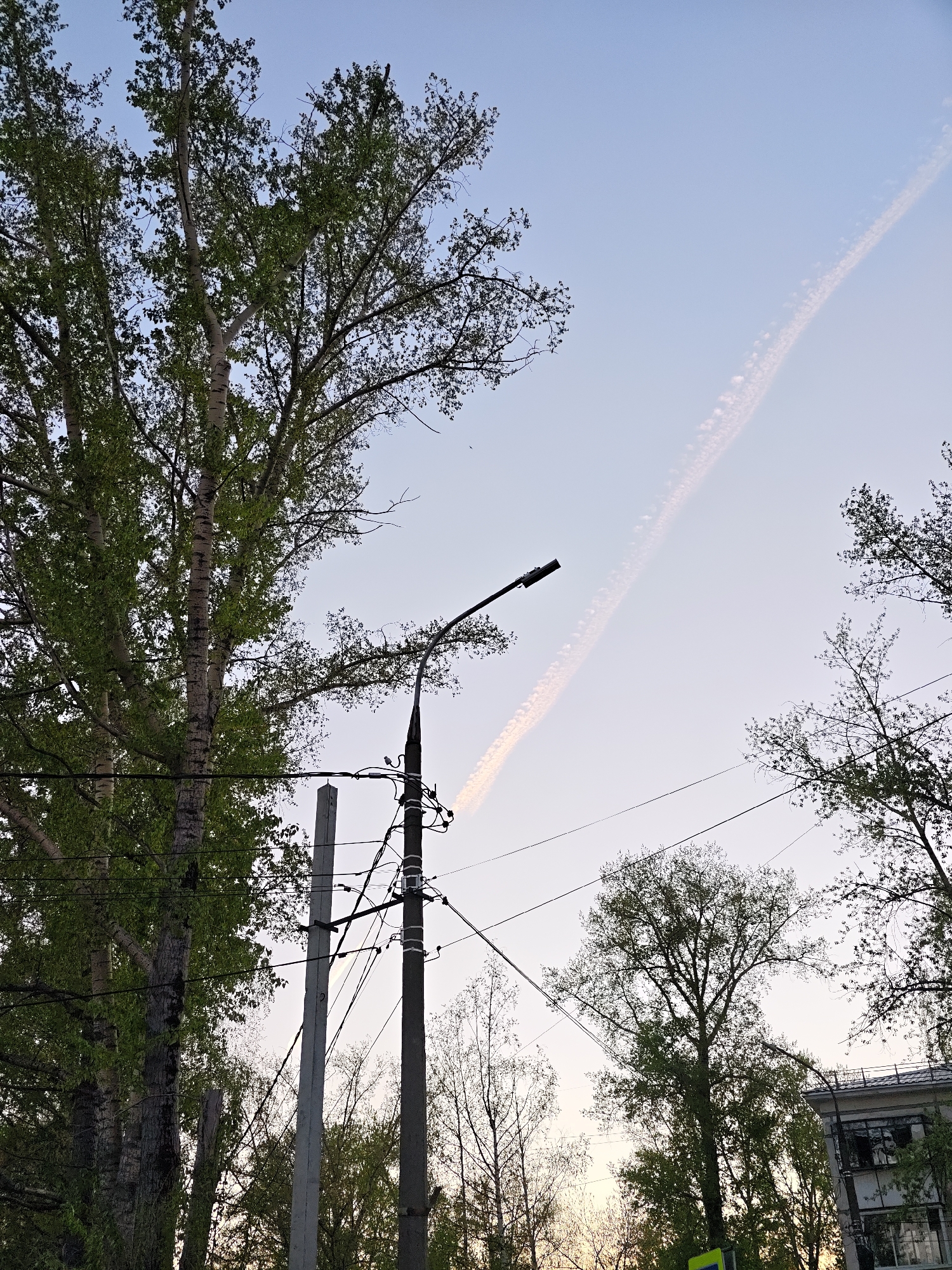 A street scene in Chaikovsky, Russia, reveals tall trees with budding green leaves framing the edges of the image. In the center stands a street lamp mounted on a concrete utility pole, with power lines extending in multiple directions. Another concrete pole is also present, with additional wires. The sky is light blue with contrails of an airplane. The bottom right corner reveals a portion of a building with windows. A yellow caution sign is barely visible in the lower center.