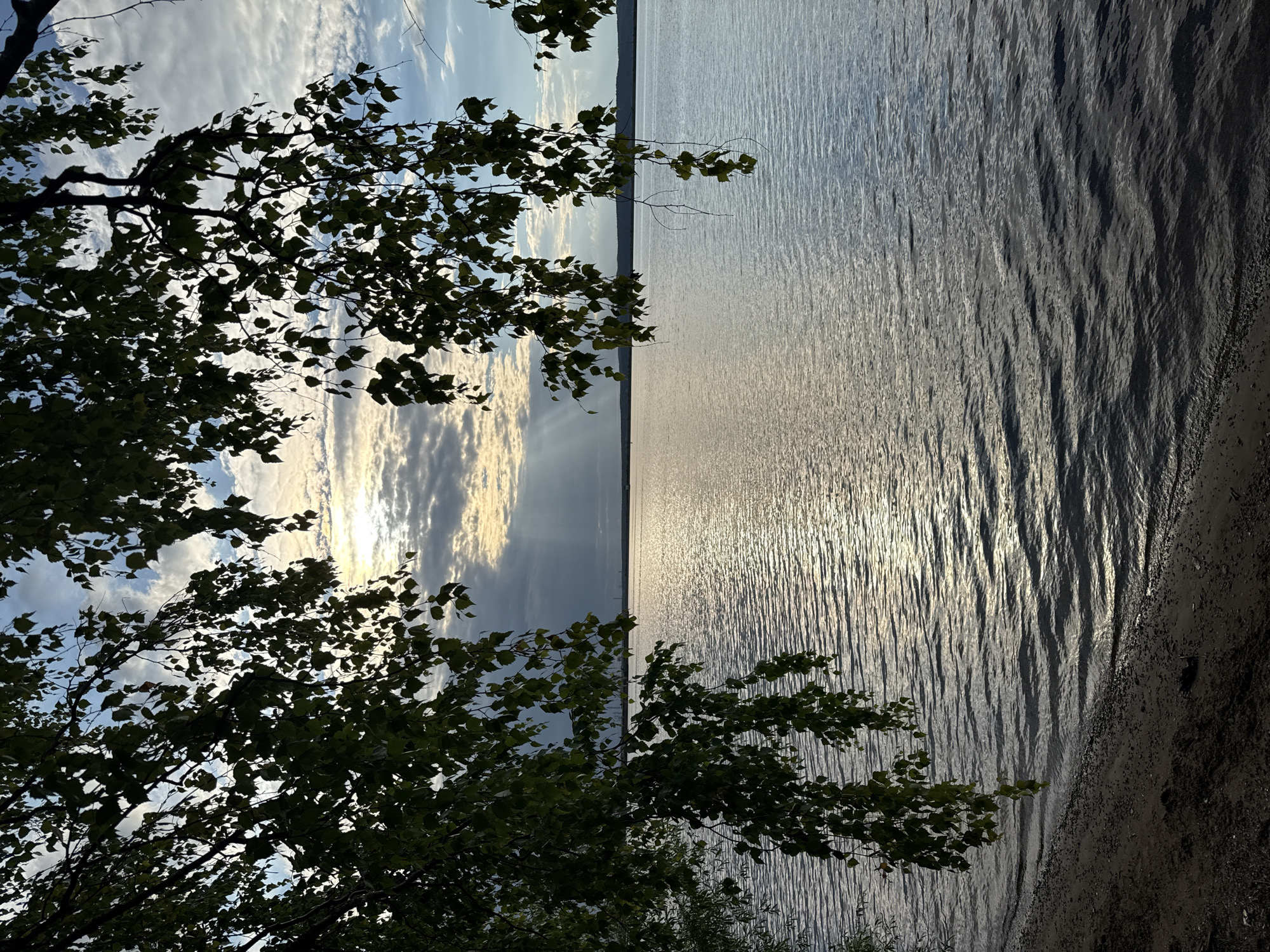This is a vertical, medium shot of a body of water, likely a river or lake, with a sandy shoreline and trees in the foreground. The scene is set in Chaikovsky, Russia, during what appears to be late afternoon or early evening, given the lighting conditions.
In the foreground, on the left side of the image, a sandy beach is visible, with a few small pebbles and dark sand. Overhanging the water and beach are branches of a tree with dark green leaves, silhouetted against the sky and water. These branches are positioned in the upper left and upper right quadrants of the image, framing the central scene.
The main subject is the expansive body of water, which occupies the majority of the frame. The water's surface is rippled, reflecting the light from the sky. The colors of the water range from deep blue and gray in the foreground to lighter, shimmering silver and gold hues where the sunlight hits it.
The sky above is partly cloudy, with dramatic shafts of sunlight breaking through the clouds, creating a luminous effect. The sun itself is not directly visible but is implied by the bright light source behind the clouds. In the distance, a faint, dark horizon line suggests land or hills. The overall atmosphere is serene and natural. There are no people or animals visible in the image. The composition emphasizes the interplay of light, water, and nature.