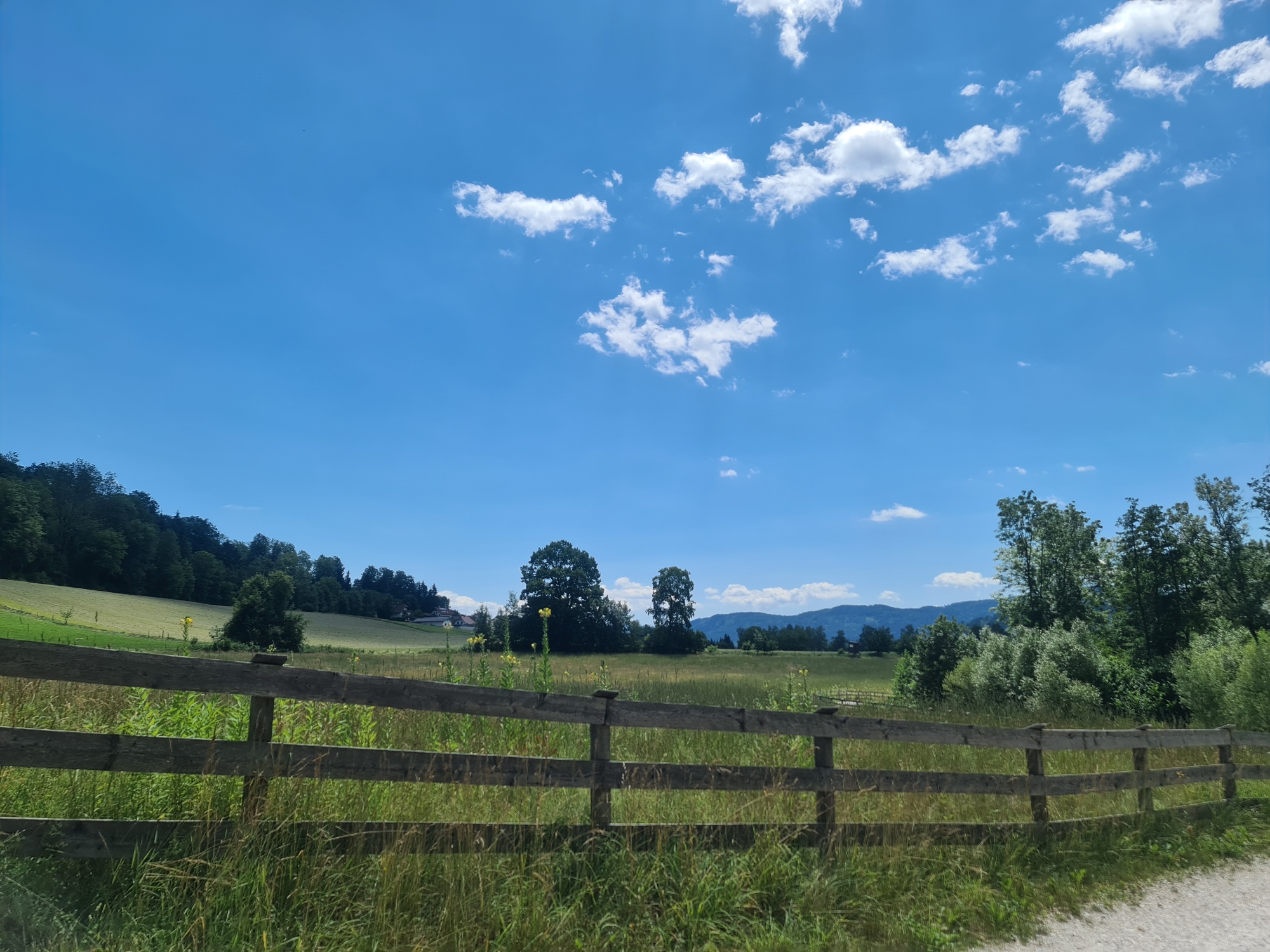 This image depicts a pastoral landscape under a bright blue sky dotted with fluffy white clouds. In the foreground, a weathered wooden fence stretches horizontally across the frame, separating a grassy field from what appears to be a dirt path on the right. The field behind the fence is lush with green grass and tall weeds, with scattered yellow wildflowers. In the mid-ground, rolling hills are covered in greenery, with clusters of trees and a few distant buildings suggesting a rural settlement. The background features a line of trees and more distant, hazy mountains, characteristic of the Kärnten region of Austria. The scene is serene and rural, with no people or animals visible. The lighting indicates it is daytime, likely late morning or early afternoon.