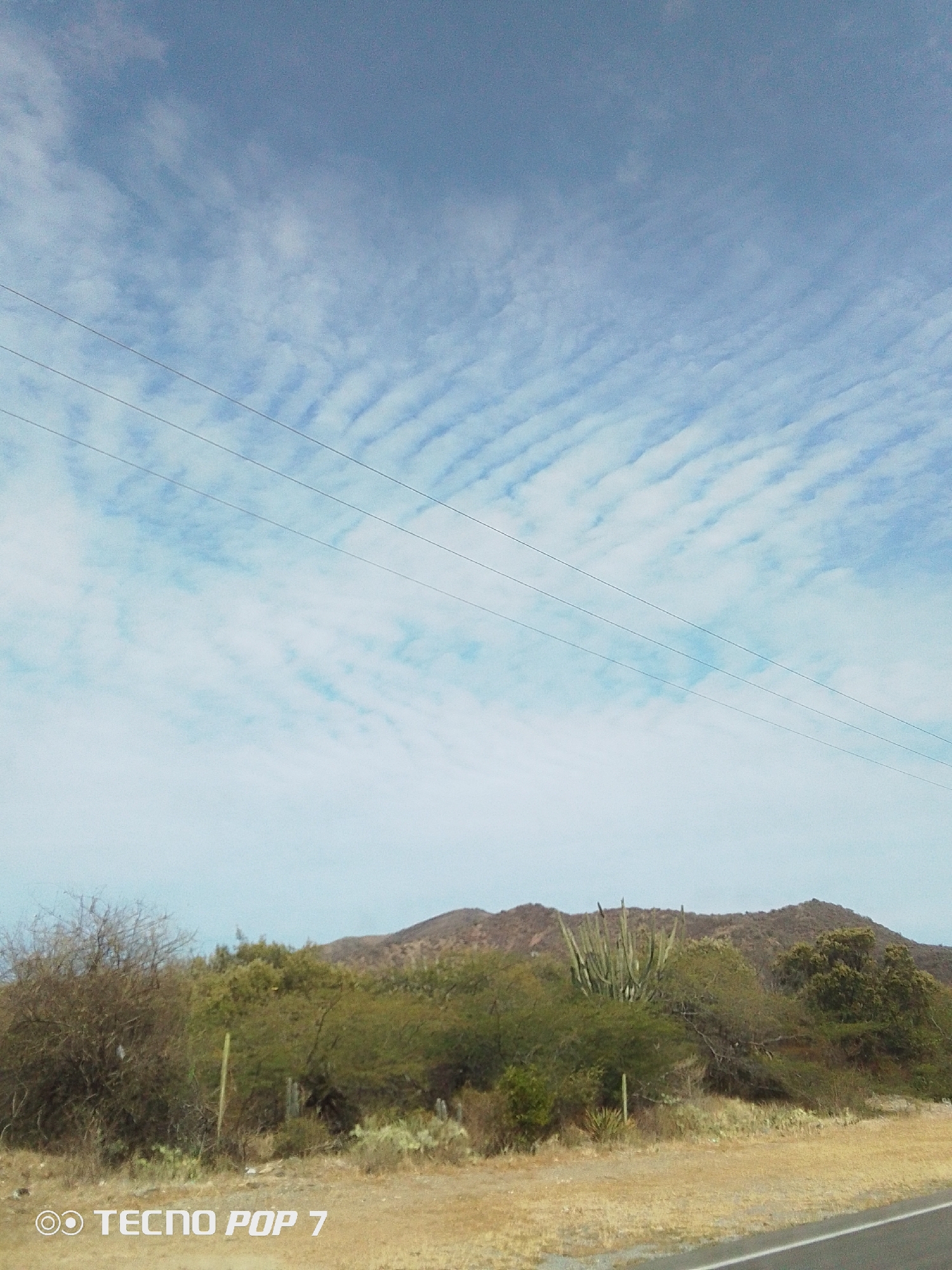 The image shows a landscape in Pedro González, Venezuela. In the foreground, there is dry, yellow vegetation alongside an asphalt road. Behind the road, a dense thicket of bushes and low-lying trees is visible. Some tall cacti are scattered among the greenery. Further back, a low, brown mountain range forms the backdrop. The sky above is mostly blue with streaks of white clouds. Power lines are strung across the upper portion of the frame. The text "TECNO POP 7" appears in the lower left corner of the image.