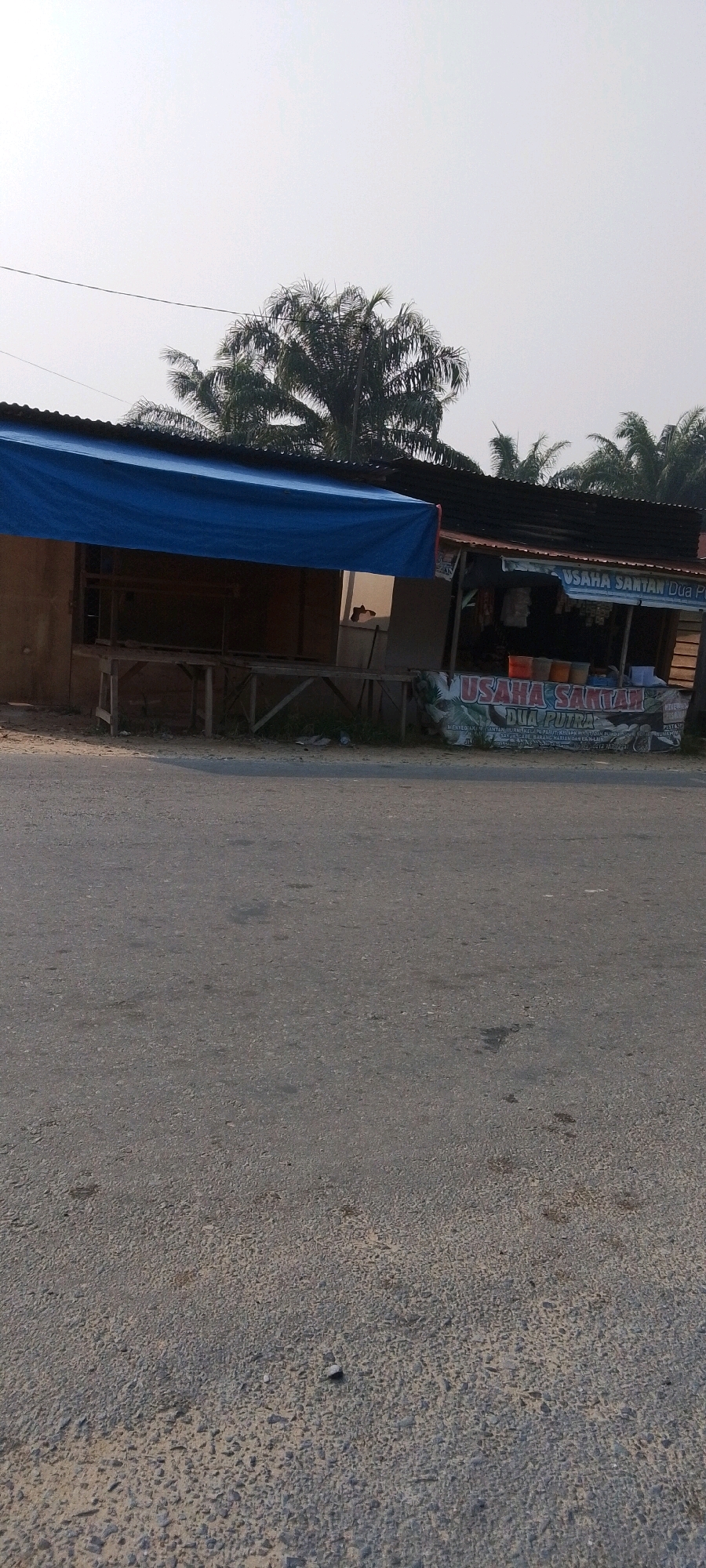 This is a street-level, eye-level, full-shot photograph of a roadside food stall in Seremban Jaya, Indonesia. The stall has a blue tarp roof and is situated next to a road. The stall appears to be closed, with no people visible. The environment is tropical, with palm trees in the background. The road in the foreground is paved and appears to be in good condition. The stall itself is made of wood and metal. There are shelves inside the stall where food items would typically be displayed. A sign on the stall reads "USAHA SANTAN DUA PUTRA", which translates to "Two Sons Coconut Business". The overall impression is one of a typical rural Indonesian roadside stall.