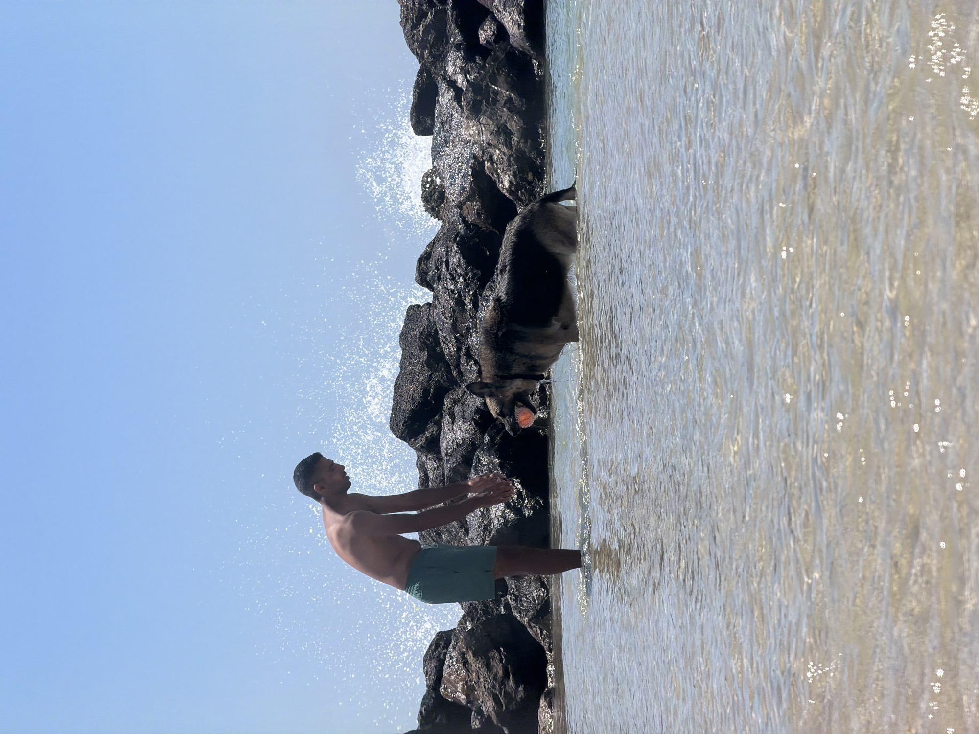 An individual is standing in shallow ocean water, facing a German Shepherd dog that is also in the water. The person is wearing green shorts and is leaning forward with their hands outstretched. The dog is facing the person and has an orange ball in its mouth. Behind them, large dark rocks form a breakwater, with waves crashing against them and spraying water into the bright blue sky. The foreground shows clear, shallow water with sunlight glinting off the surface. This scene is likely at Dado Beach in Haifa, Israel, a popular location known for its rocky coastline and recreational activities.