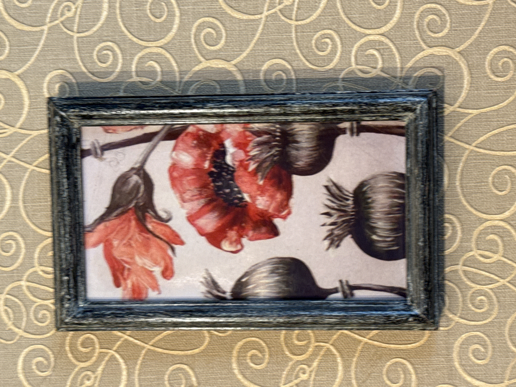 A framed picture of red poppies hangs on a textured wall. The picture is in a dark, distressed frame and depicts several red poppies and poppy seed pods. The wall has a repetitive pattern of cream-colored swirls. The image is taken from a slightly high angle, looking down at the framed picture. The lighting appears to be ambient, casting a soft shadow on the right side of the frame. The location is the city of Rudamina, Lithuania.
