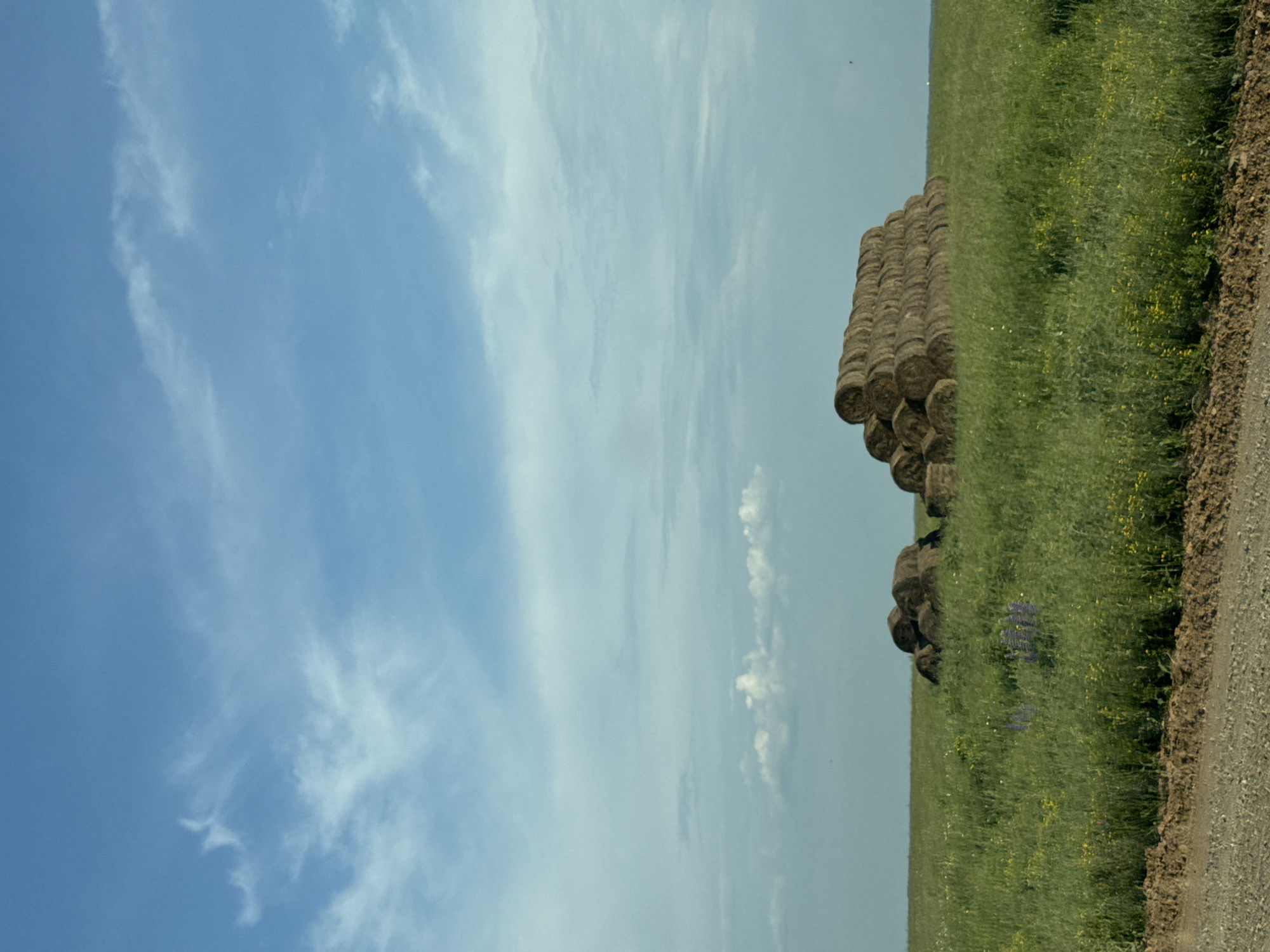 The image shows a vast, green field under a partly cloudy blue sky. In the mid-ground, a large stack of round hay bales is piled high, with a smaller collection of bales to its left. The field is covered in tall grass and interspersed with small yellow wildflowers and a patch of purple flowers. A dirt road or path runs along the bottom of the frame, separating the field from the viewer. The scene is devoid of people and appears to be a rural landscape in Van'ki, Russia.