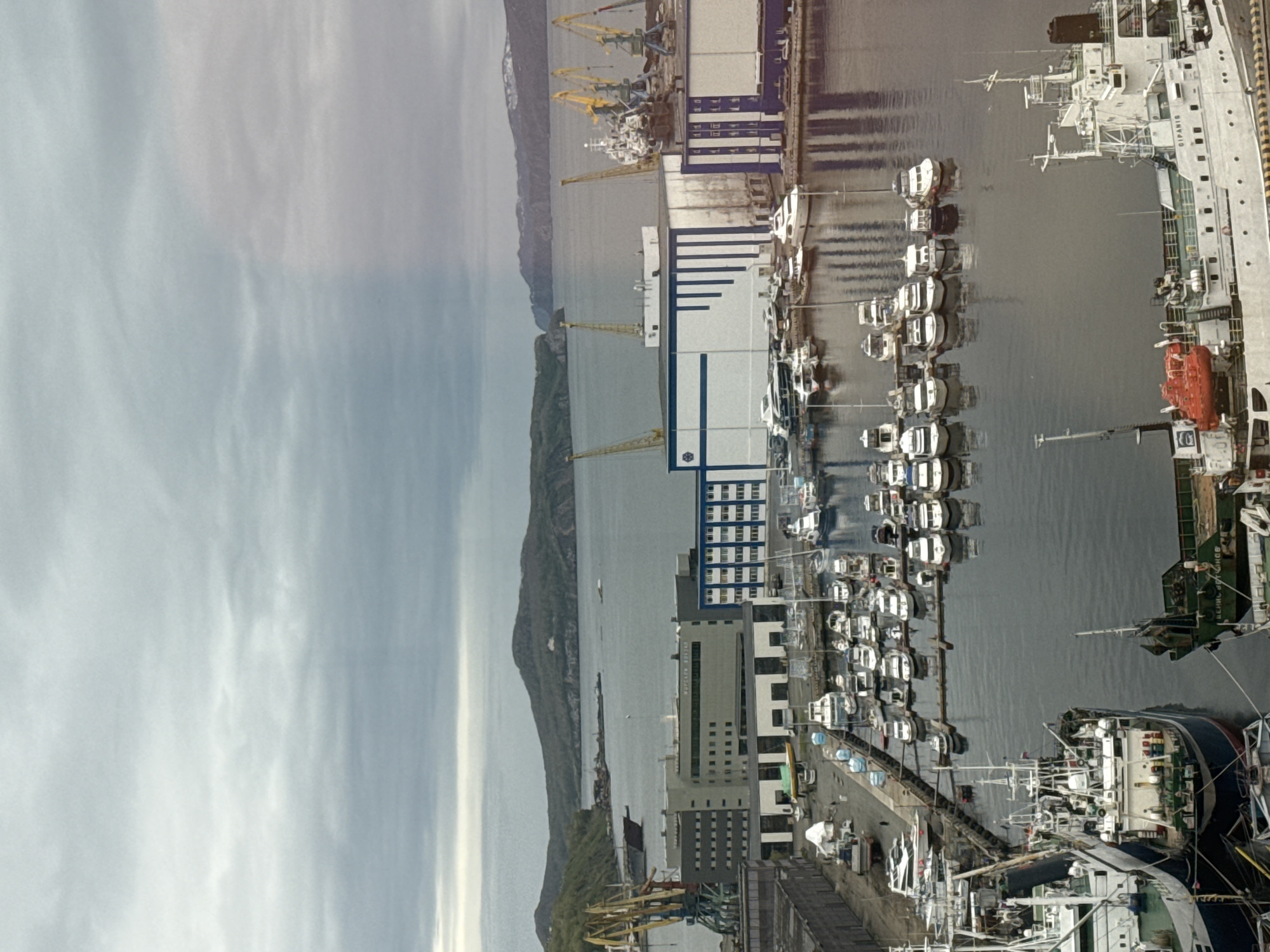 The image shows a view of a port with various boats and ships docked in the water. In the foreground, several large vessels are visible, including a white ship with "CIPANIS" written on its side and a green ship with Russian text. A marina filled with smaller boats is also present. In the background, industrial buildings and cranes indicate a working port environment. Hills covered in vegetation rise from the water in the distance, under a cloudy sky. The scene is captured from an elevated perspective, looking down upon the port.