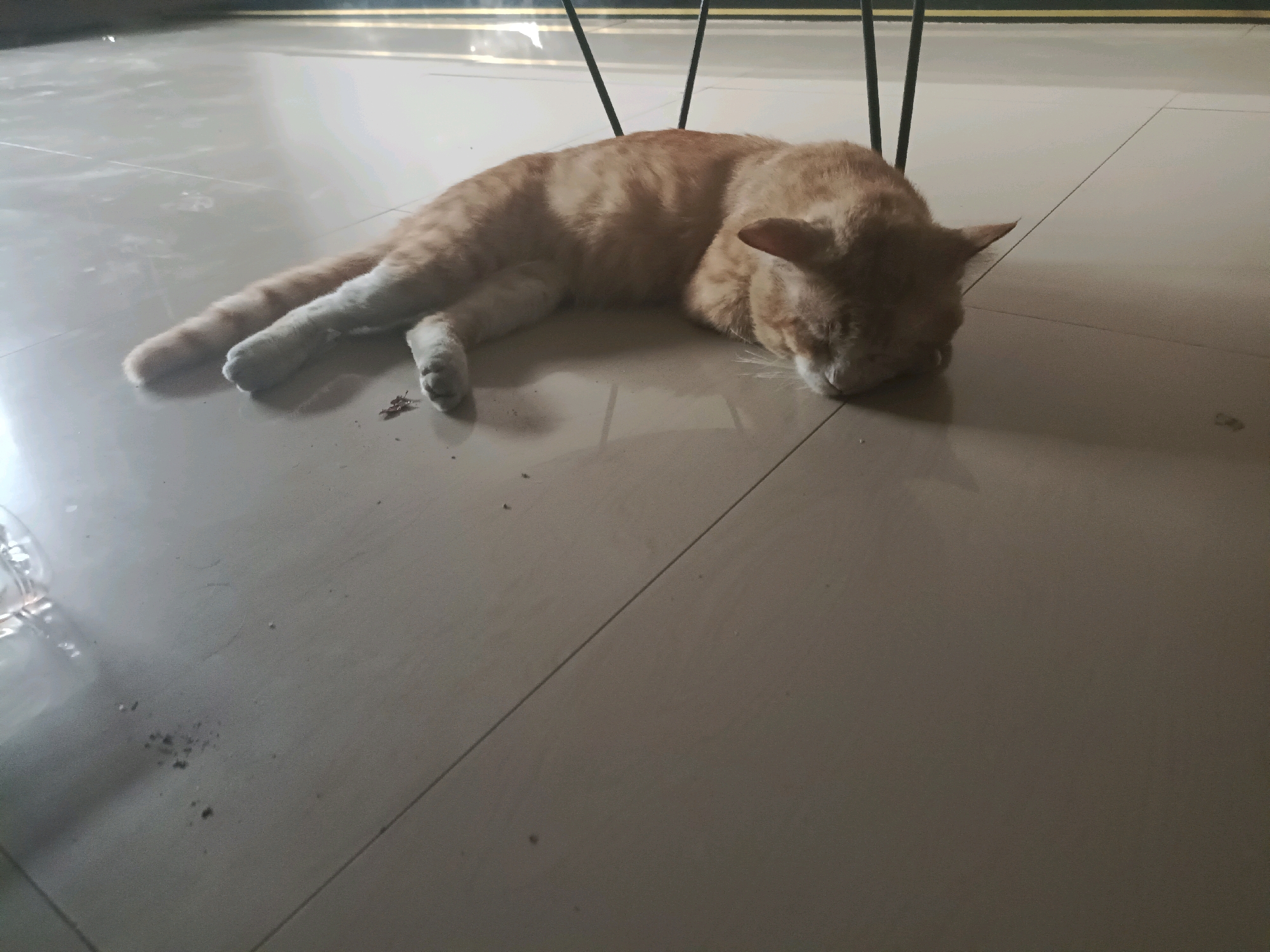 An orange tabby cat is sleeping on a tiled floor. The cat is lying on its side with its head tucked into its body. Its eyes are closed and its ears are perked slightly. The floor tiles are a light beige color and appear to be slightly dusty. There are some dark specks on the floor, possibly dirt or debris. In the background, the legs of a piece of furniture are visible, casting shadows on the floor. The lighting suggests it is daytime, with a light source coming from the upper right. The scene is indoors, likely in a residential setting.