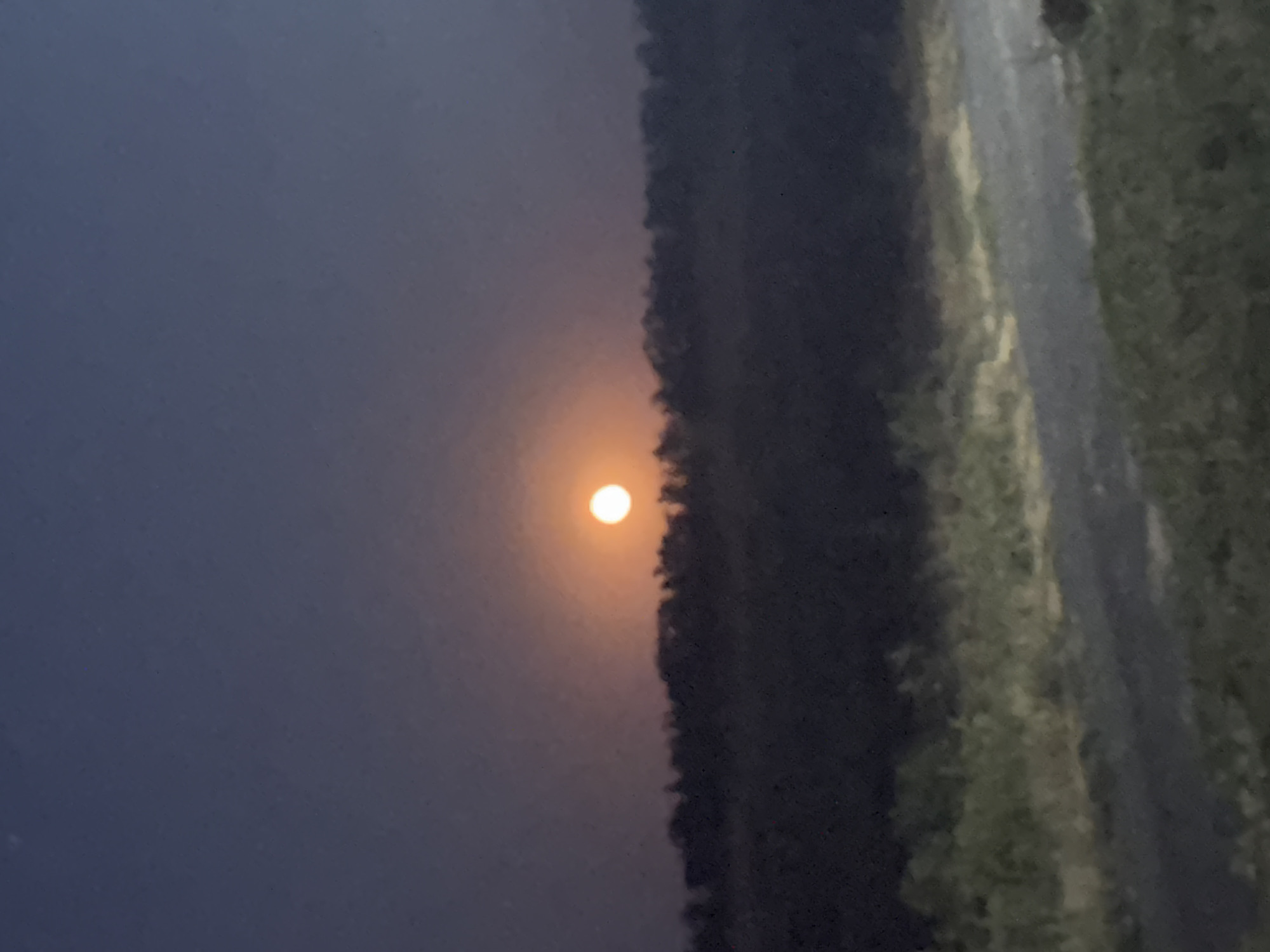 A full moon is setting or rising over a silhouetted line of trees in the distance. The moon appears orange-yellow and is surrounded by a soft halo. The sky above is a dark twilight blue, transitioning to a lighter shade near the horizon. In the foreground, there is a dirt road or path bordered by fields of dark, indistinct vegetation. The overall impression is one of a serene rural landscape at dusk or dawn.