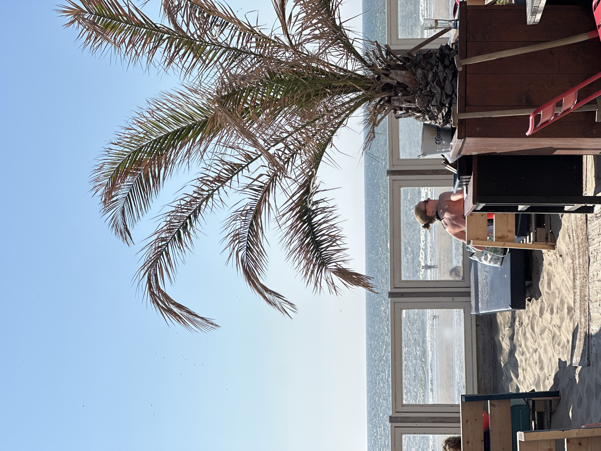 This is a medium shot of a beach bar with a palm tree in the foreground, overlooking the North Sea. The scene is set in Zandvoort, Netherlands. The image is captured on a bright, sunny day with a clear blue sky.
In the foreground, a large palm tree with sparse fronds is positioned to the right of the frame, its trunk rough and textured. Behind the palm tree, a wooden bar counter is visible, with a silver bucket that appears to be labeled "Corona" and a glass of beer. Two wooden shovels with light-colored handles lean against the counter. A bright red chair is partially visible to the right.
To the left and center of the frame, sandy ground is covered with wooden planks and some discarded materials. Two wooden benches with light-colored slats are in the foreground. Between these benches, a dark-colored lounge chair is placed on the sand, with a patterned bag resting on it.
In the middle ground, a glass enclosure with horizontal wooden beams separates the beach bar area from the beach. Through the glass, the sandy beach and the sea are visible. Several people are scattered on the beach and in the shallow water. Two individuals are in the water, and another is walking towards the shore.
In the background, the vast expanse of the shimmering blue North Sea stretches to the horizon, meeting the pale blue sky.
A woman with her back to the camera is seated in the beach bar area, wearing sunglasses and her hair tied up. She is partially tanned and appears to be looking out at the sea. Another person with blonde hair is visible to the far left, also with their back to the camera.