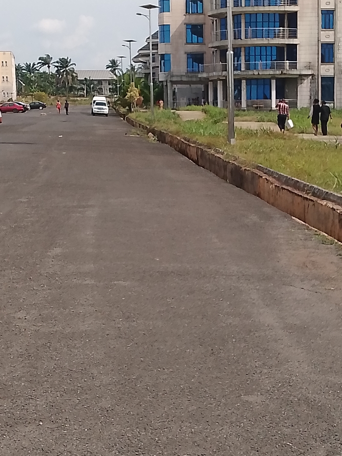 The image depicts a road in Ogboko, Nigeria. The road is paved and gray, stretching from the foreground into the distance. A concrete curb runs along the right side of the road, bordering a grassy area. Beyond the grass stands a multi-story building with blue glass windows and an unfinished exterior. In the distance, other buildings are visible, including one painted white and another with a similar architecture to the larger building. Several people are present: some walking along the roadside, and others further down the road. A white van is positioned on the road in the distance. Palm trees are visible in the background. Light poles line the side of the road. The sky is overcast.