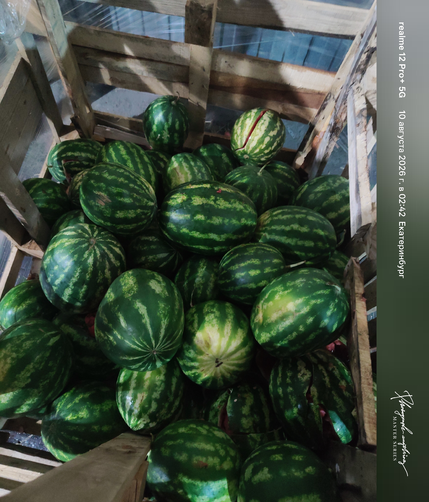 A high-angle medium shot captures a wooden crate overflowing with watermelons in Yekaterinburg, Russia. The crate is constructed from rough, unfinished wooden planks, with some gaps allowing glimpses of the background, which appears to be a dimly lit, possibly industrial or storage area. The watermelons are various shades of green with darker stripes, and some show signs of ripeness with lighter yellow patches. Several watermelons are stacked tightly, creating a dense and textured surface. One watermelon in the upper right of the frame is partially cut open, revealing its red flesh and white rind. The lighting is somewhat dim, with shadows cast by the wooden structure and the watermelons themselves. A vertical text overlay on the right side of the image includes the text "realme 12 Pro+ 5G", "10 августа 2026 г. 02:42", and "Екатеринбург". Below that, another text overlay in a script font reads "Photograp... anything" and "MASTER SERIES". No people are visible in the image.