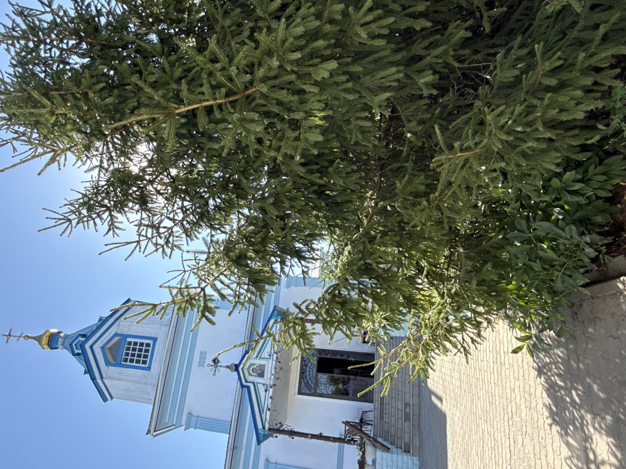 The image shows the facade of a white church with blue trim and a golden dome on a clear, sunny day. The church has a prominent bell tower with a clock face window and the year "1905" inscribed above the entrance. In front of the church, a large, mature coniferous tree with dense green foliage dominates the foreground, partially obscuring the view of the building and the steps leading to its entrance. The ground in front of the church is paved with light-colored interlocking bricks, casting shadows from the tree. The architecture suggests an Orthodox church. The image is taken from a low angle, looking up towards the church and the tree. The setting appears to be an outdoor area, likely part of the church grounds. The church is located in the city of Sol-Iletsk, Russia.