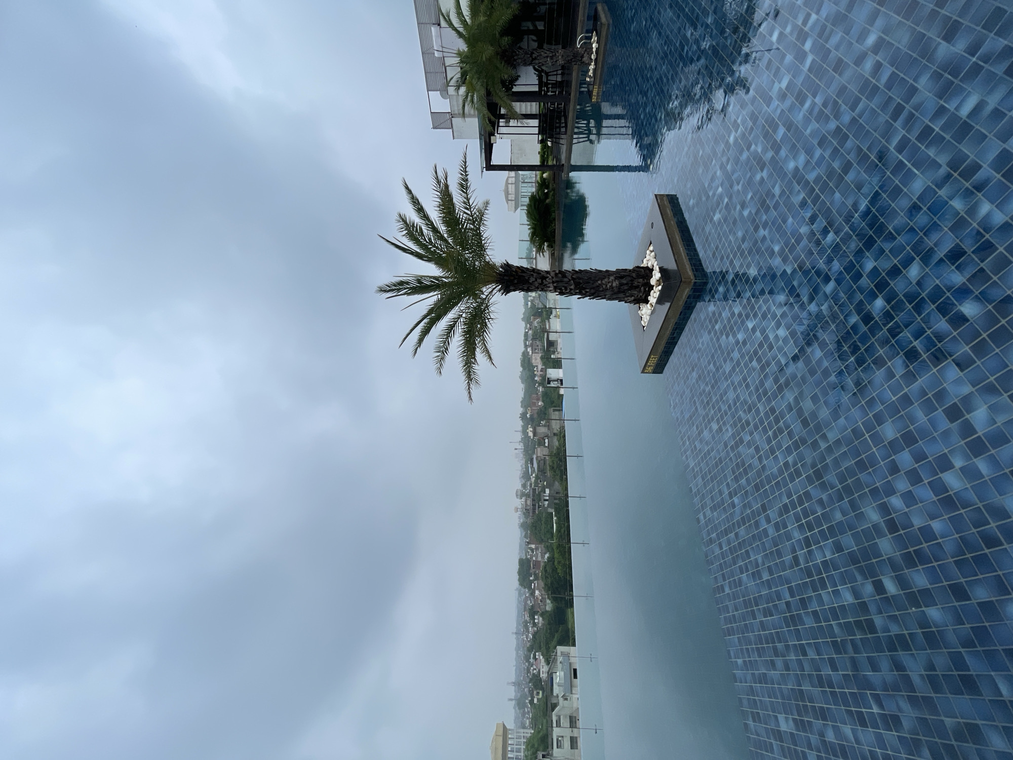 This image depicts an infinity swimming pool on a cloudy day, overlooking the city of Agra, India. The pool has a dark blue tiled bottom and its surface reflects the overcast sky and surrounding structures. In the foreground, a lone palm tree stands in a square planter surrounded by white stones, emerging from the water. To the right, another palm tree is visible, along with an outdoor seating area with tables and chairs under a canopy. In the distance, the cityscape of Agra is visible, characterized by a mix of residential buildings, greenery, and a prominent water tower. The overall impression is one of a serene, urban oasis under a somber sky.