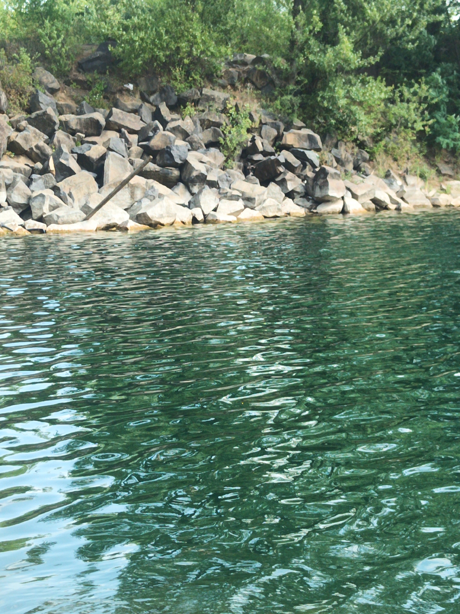 The image depicts a rocky shoreline bordering a body of calm, green water. The rocks are varied in size and color, ranging from dark gray to lighter tan, and appear to be of natural formation. Lush green foliage, dense and somewhat wild, grows on the slope behind the rocks, creating a natural embankment. The water surface is slightly rippled, reflecting the green of the vegetation and the sky. The scene is devoid of human presence and activity. The lighting suggests it is daytime, with natural sunlight illuminating the environment. This scene could be a section of the Uzh River embankment in Uzhhorod, Ukraine, characterized by its rocky edges and bordering vegetation.