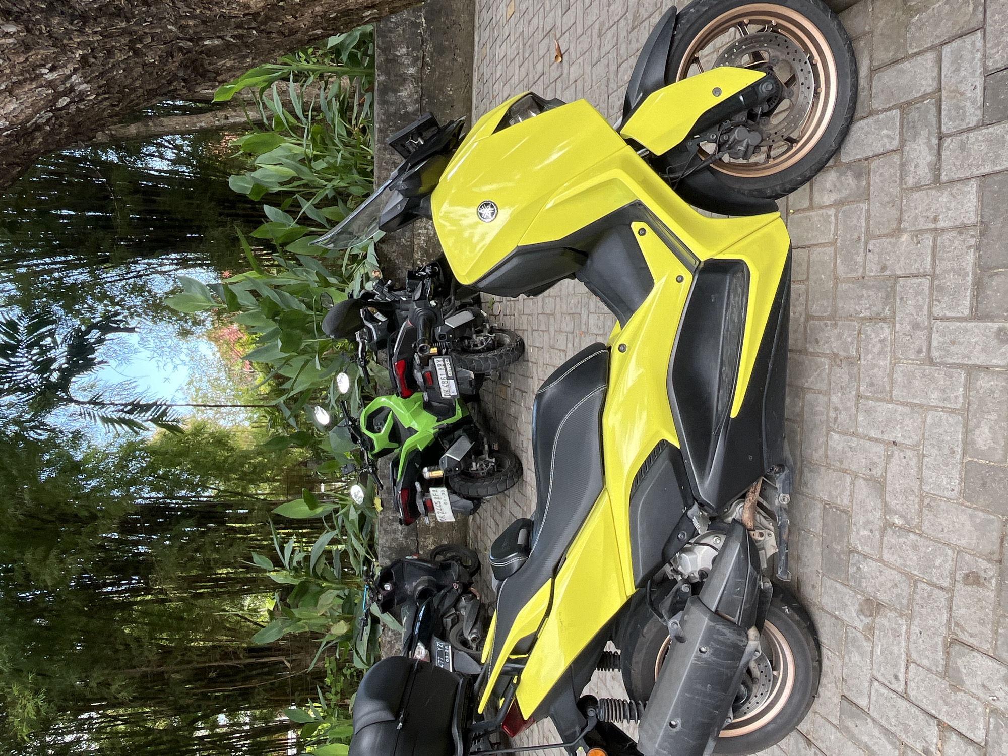 A bright yellow Yamaha XMAX scooter is parked on a cobblestone pavement in front of a wall adorned with lush green plants and bamboo stalks, indicative of a tropical setting. The scooter is the primary subject, positioned at an angle to showcase its sleek design. Behind it, several other scooters are visible, including a lime green model and a black one. A large tree trunk with textured bark is on the right side of the frame, partially obscuring the background. The sky is a clear blue, suggesting fair weather. The scene appears to be an outdoor parking area, possibly near a resort or tourist area in Kuta Selatan, Indonesia, given the dense tropical vegetation and the style of scooters commonly seen in such locations. No people are present in the image.