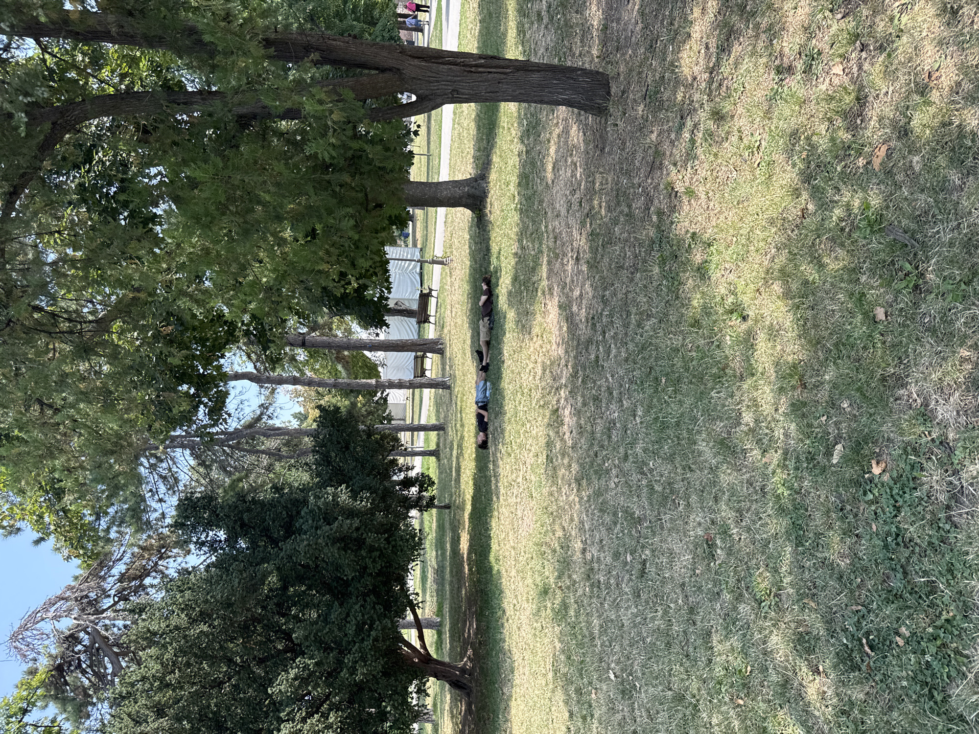 Four individuals are lying down on a grassy area in a park. The individuals are positioned in a row, with their bodies parallel to each other. The person on the far left is wearing a dark shirt and denim shorts. The person next to them is wearing a light-colored shirt and dark pants. The third person from the left is wearing a dark shirt and light-colored pants. The person on the far right is wearing a dark shirt and dark pants. The background shows trees, a pathway, and in the distance, a white tent structure, benches, and two individuals walking. The scene is outdoors, with sunlight casting shadows on the grass. This appears to be Kalemegdan Park in Belgrade, Serbia.