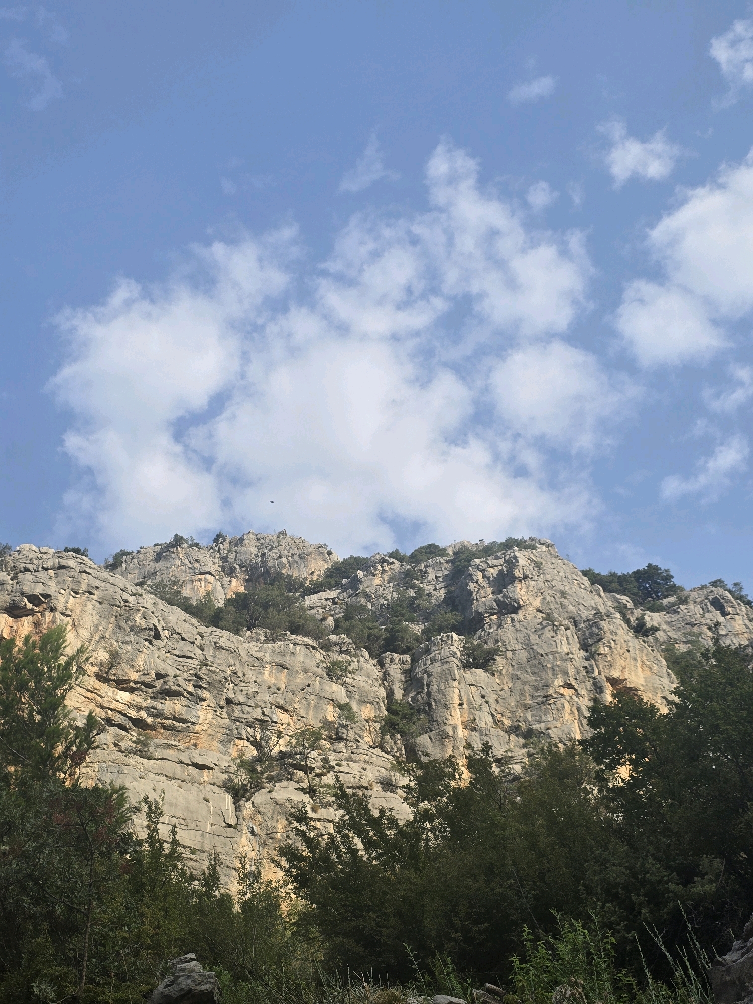 The image depicts a rocky mountainside bathed in sunlight, with a clear blue sky dotted with scattered white clouds above. The mountain face is rugged and textured, with visible stratification and sparse vegetation clinging to its slopes. In the foreground, lush green trees and foliage create a dense border, with some rocks visible at the very bottom. A single bird is captured in flight against the sky. The scene is natural and appears to be an outdoor landscape. The specific location in Podgorica, Montenegro is not discernible from the image itself.