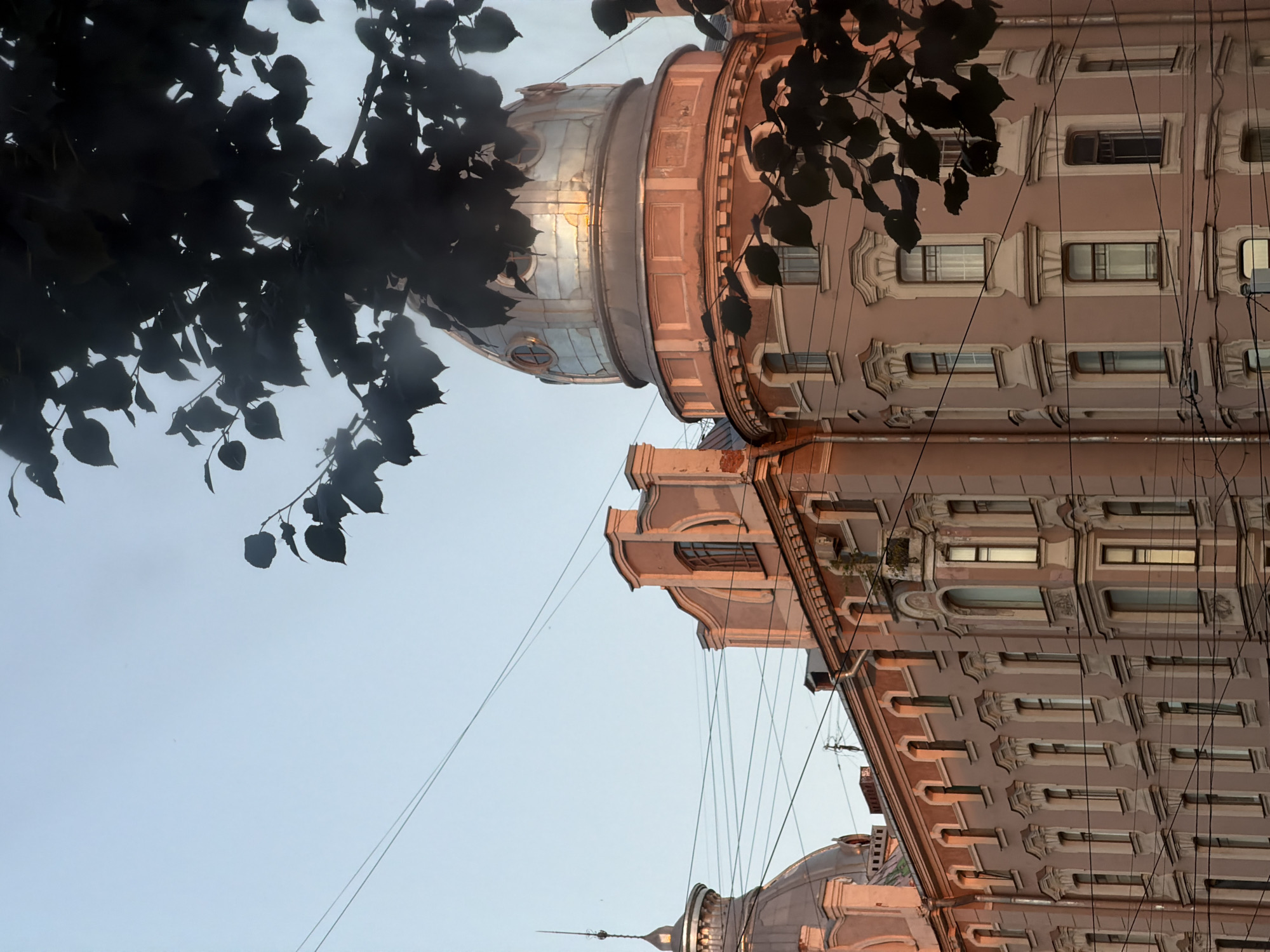 The image captures a detail of the facade of a historic building in Saint Petersburg, Russia, likely in the city center given the architectural style and the presence of overhead wires. The building is painted in a pale pink or peach hue and features ornate architectural elements, including decorative window surrounds and a curved bay window. The upper portion of the building is crowned by a dome with a metallic, reflective surface, catching the warm light of what appears to be a sunset or sunrise. Dark green leaves from an overhanging tree partially obscure the dome and the sky, creating a silhouette effect. The sky is a clear, pale blue. Numerous electrical and telephone wires crisscross the scene, indicating an urban environment. No people are visible in the frame. The overall impression is one of architectural grandeur set against a tranquil, natural element and the ubiquitous urban infrastructure.