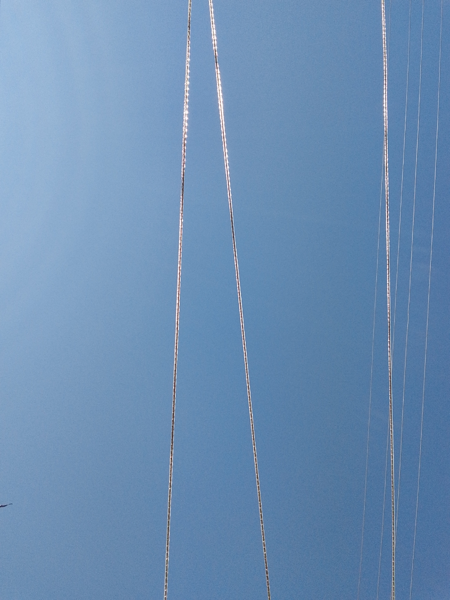The image captures a clear, cloudless blue sky, dominated by several vertical lines or wires. Two prominent, thicker lines extend from the top to the bottom of the frame, one appearing on the left side and another on the right. These thicker lines are metallic, exhibiting numerous bright, sparkling highlights along their length, indicating direct sunlight reflection. Their surface appears textured, suggesting they are composed of many small strands or links, possibly resembling braided or twisted cables.
To the right of the rightmost thick line, several thinner, less distinct wires are visible, running parallel to each other and largely vertically. These thinner lines also catch some light but lack the prominent texture of the main cables. In the bottom-left corner, a very small, dark, unidentifiable speck can be observed against the blue sky; its nature is too indistinct to determine.
The vibrant blue hue of the sky and the strong reflections on the wires suggest the photograph was taken during broad daylight under clear, sunny weather conditions. The scene is static, featuring no discernible activity or event. No people or animals are clearly identifiable. The image provides no specific location cues or visible text, and no particular emotions are conveyed.