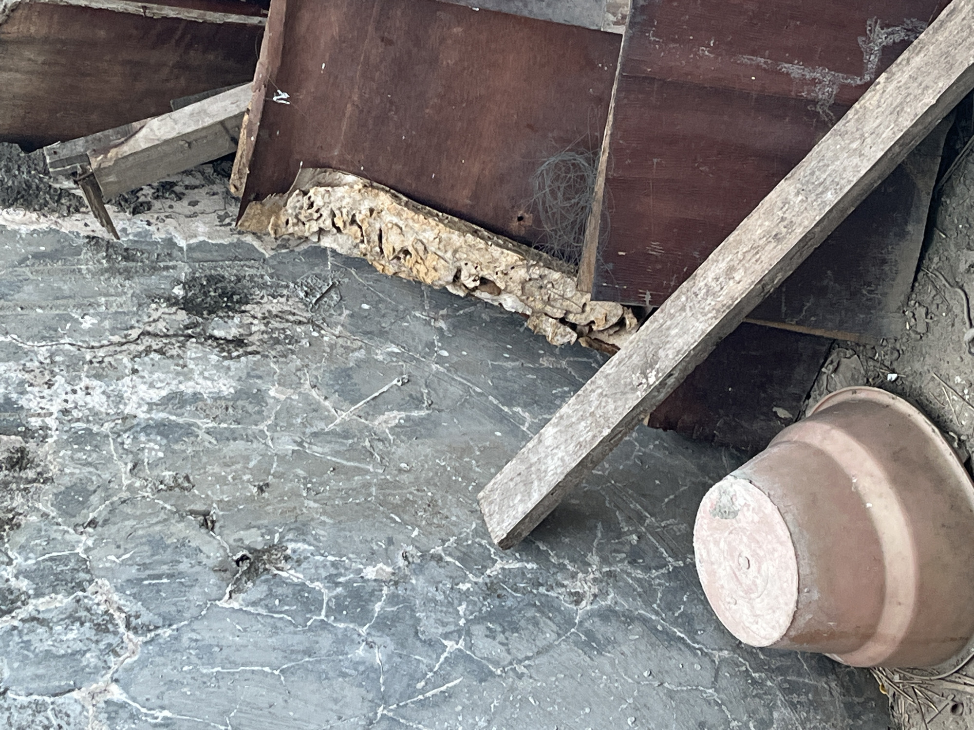 The image depicts an outdoor scene with a weathered gray concrete wall on the left, exhibiting numerous cracks and some dark staining. To the right of the wall, there is a pile of debris including several dark reddish-brown wooden planks of varying sizes. One long wooden plank is positioned diagonally across the center of the frame, resting against the wall and the pile of planks. In the lower left of the image, an overturned light brown plastic pot with concentric rings is visible. The ground appears to be dirt and possibly some dry vegetation. In the upper right portion of the wooden debris, a small, white, stylized "N" or a similar symbol is visible. The overall scene suggests a neglected or construction/demolition site. The image is not specifically located in Kalisampurno, Indonesia, as the provided information does not contain location data.