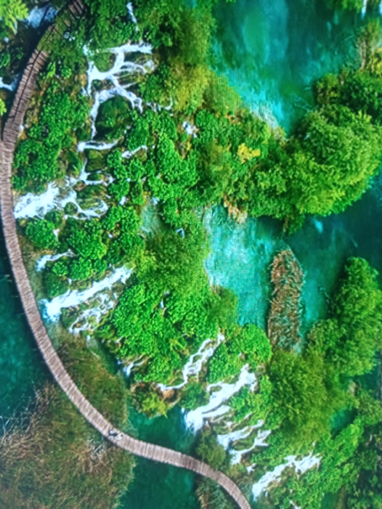 An aerial, high-angle shot shows a lush, green natural landscape with a turquoise-colored body of water and a wooden boardwalk. The boardwalk curves through the scene, appearing to wind around small islands covered in dense green foliage. White water, likely from a waterfall or rapids, cascades down in several areas. The water is clear and the bottom is visible in some shallower parts. The vegetation is vibrant and appears healthy. There are no visible buildings or man-made structures other than the boardwalk. The location is described as Unknown, Unknown.