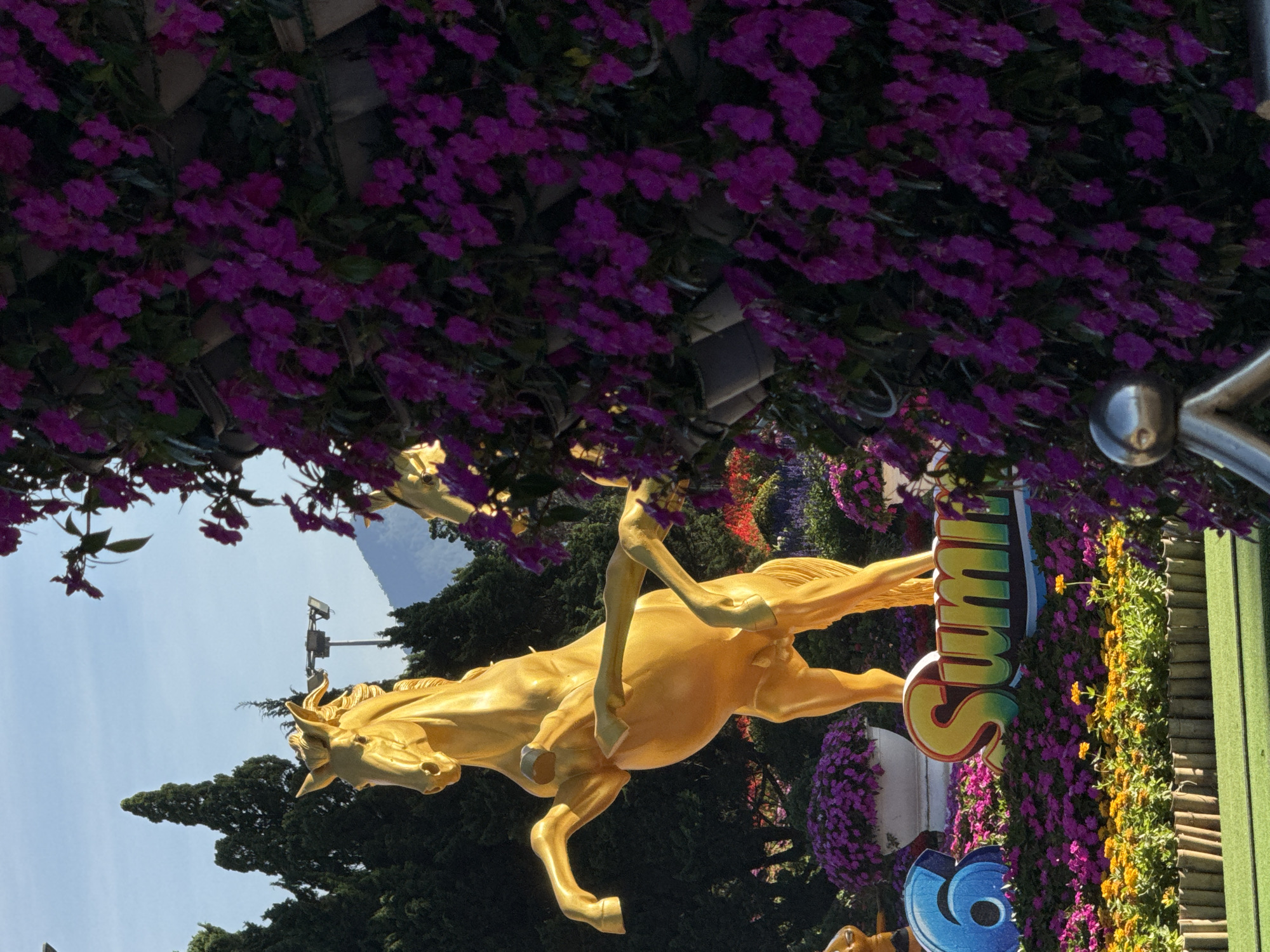 The image depicts a golden horse statue rearing up in a garden setting in Phường Xuân Hương, Đà Lạt, Vietnam. The statue is centrally located, with a vibrant display of purple and pink flowers surrounding its base and climbing up a structure on the right side of the frame. In the foreground, a blue number "6" and the word "Summer" are displayed, also surrounded by flowers and greenery. Trees and a mountain can be seen in the background, under a clear blue sky. The lighting suggests it is daytime, possibly late afternoon, with the sun casting shadows. The scene appears to be a decorative installation, possibly part of a festival or public garden display. There are no people visible in the image.