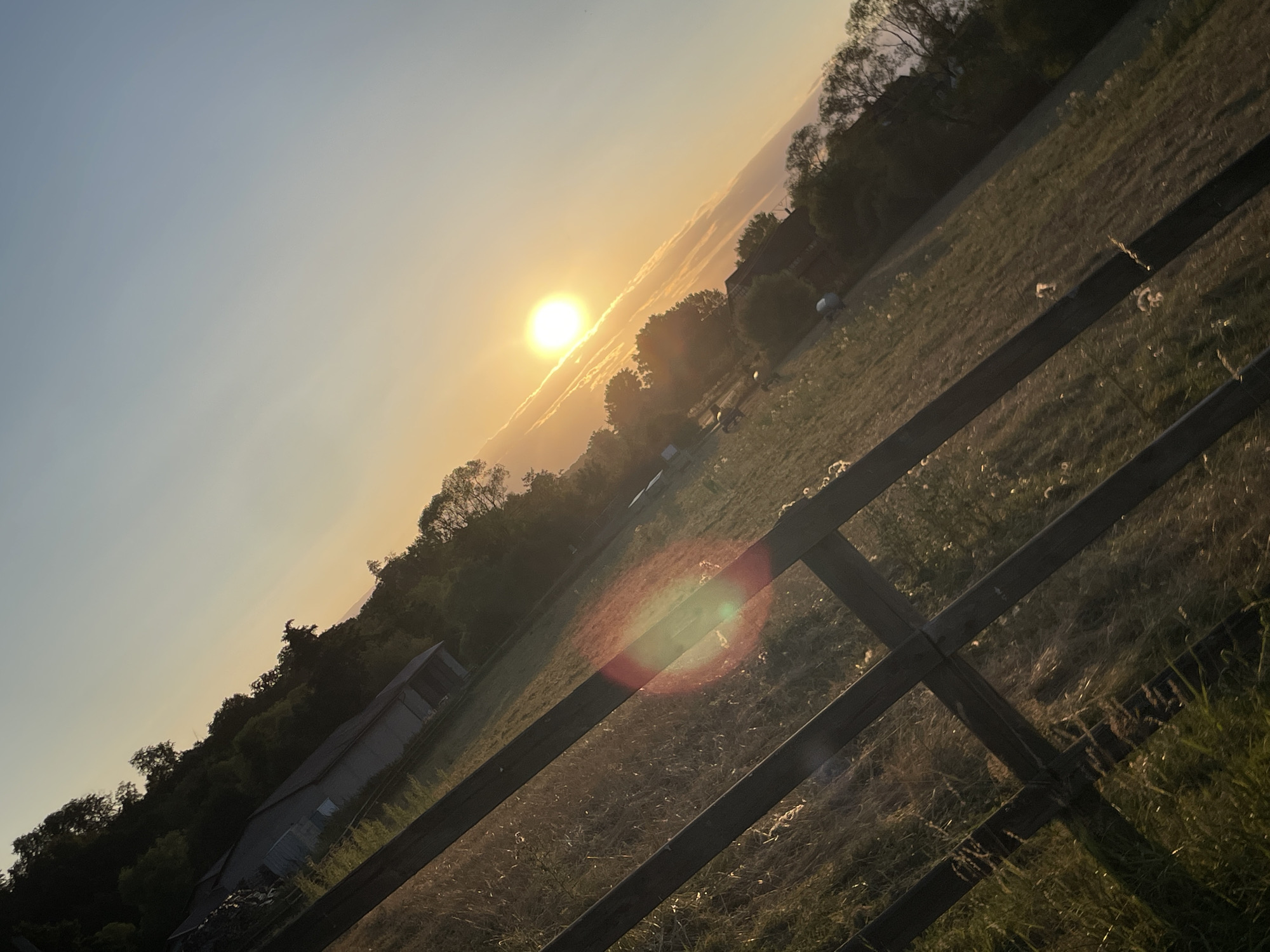 The image depicts a rural scene, likely in or around Rückershausen, Germany, at sunset. A wooden fence runs diagonally across the foreground, separating a grassy field from the viewer. The field itself is sparsely populated with small, white, fluffy objects that appear to be seed heads of plants. In the background, a gentle slope rises, covered with trees. A building, possibly a barn or house, is visible on the slope, partially obscured by vegetation. The sun is low on the horizon, casting a warm, golden light across the sky, which transitions from a pale yellow near the sun to a light blue at the top of the frame. The light creates a lens flare on the fence in the middle ground. The overall impression is one of tranquility and the end of a day in a countryside setting.