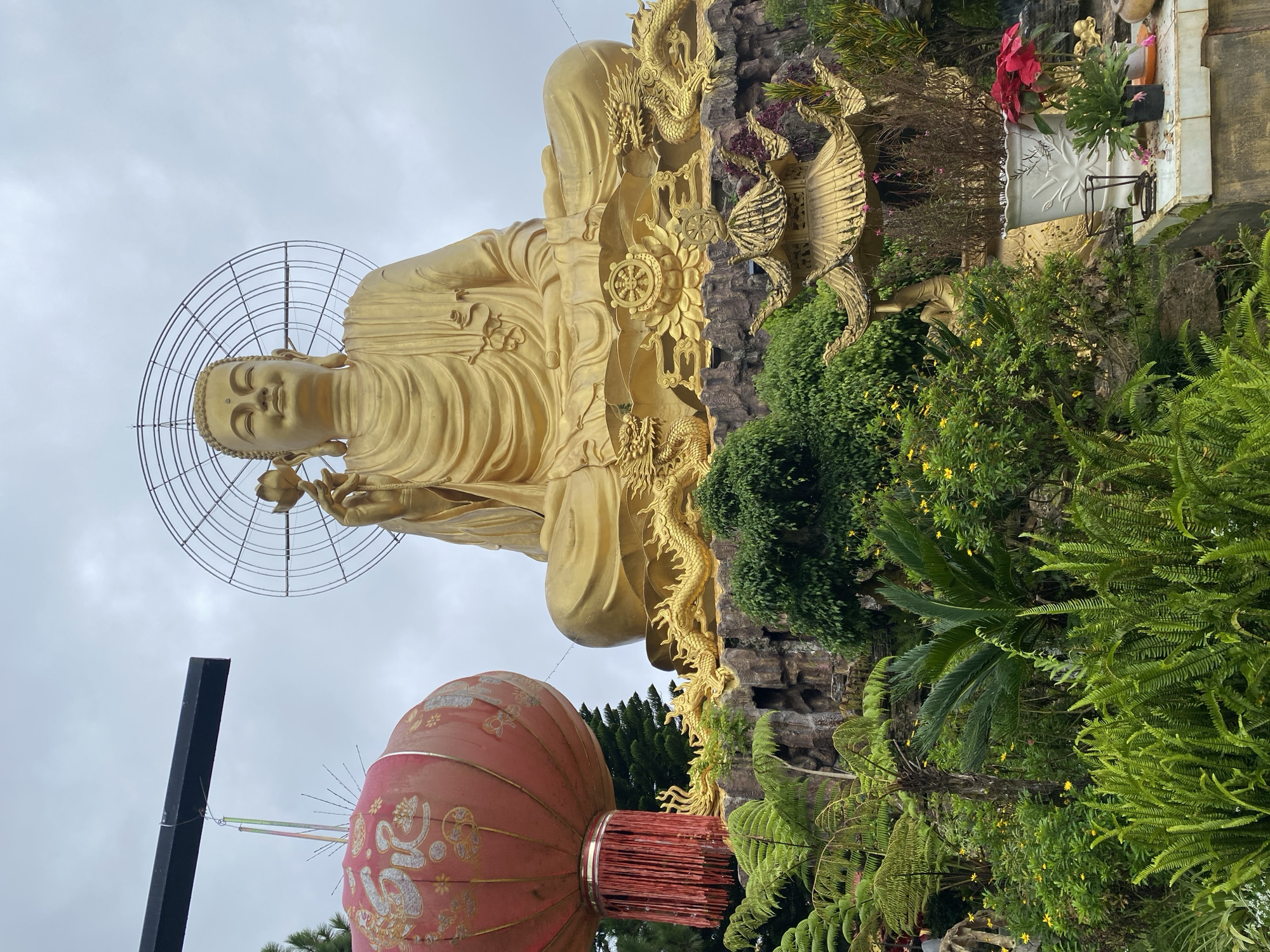 The image shows a large, golden statue of Buddha seated in a meditative pose. The Buddha statue is adorned with a halo and holds a lotus flower in its right hand. It is positioned on a raised platform decorated with golden dragons and ornate Buddhist architectural elements. In the foreground, lush green vegetation, including ferns and small yellow flowers, creates a vibrant natural setting. To the left of the Buddha statue, a large, red Chinese lantern with intricate gold patterns hangs from a dark metal bar. The sky above is overcast and cloudy. The scene appears to be part of a temple or a religious complex, likely in Lâm Viên - Đà Lạt, Vietnam, given the architectural style and flora.