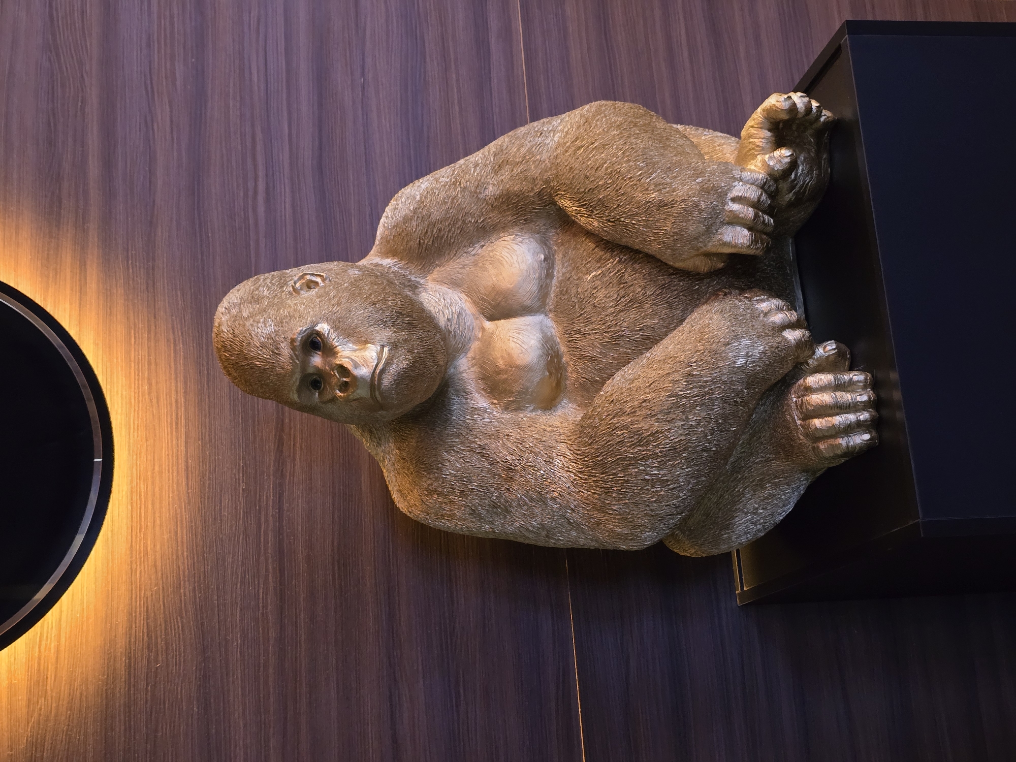 A decorative golden gorilla sculpture clings to a black box mounted on a wooden paneled wall. To the left, a circular lamp casts a warm glow. The image was taken in Burgas, Bulgaria.