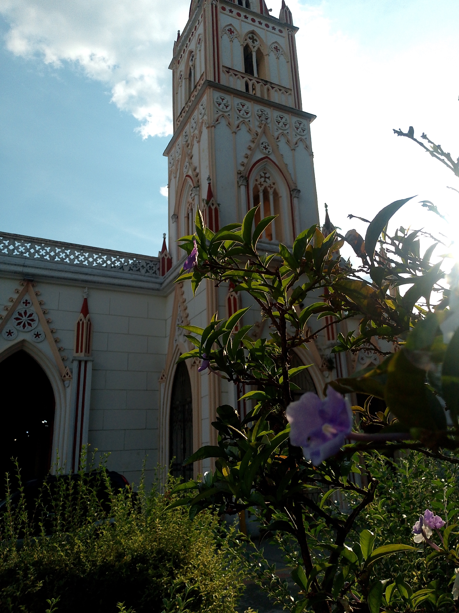 The image shows a church tower with white walls, red trim, and arched windows, framed by greenery in the foreground. A shrub with purple flowers is prominent in the lower right. The sky is blue with scattered clouds. The location is Unknown, Unknown.