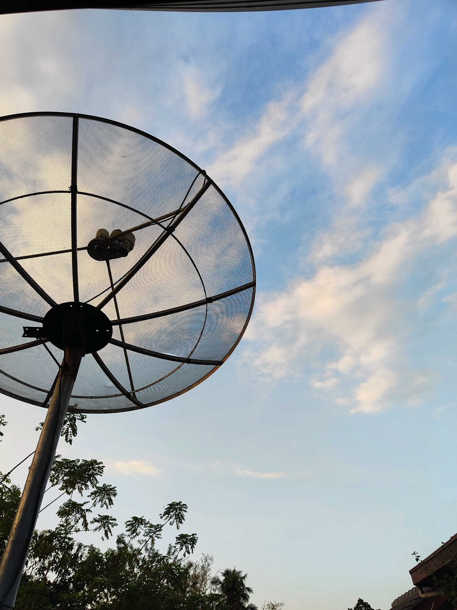 A large, metallic satellite dish is angled upwards, facing a pale blue sky with wispy white clouds. The dish is supported by a thick metal pole. In the lower portion of the image, lush green trees with dense foliage are visible, partially obscuring the base of the pole. The satellite dish appears to be made of a mesh material, and a central receiver unit is attached. The lighting suggests it is either early morning or late afternoon. The overall scene is outdoors, with the sky and trees forming the primary background elements.