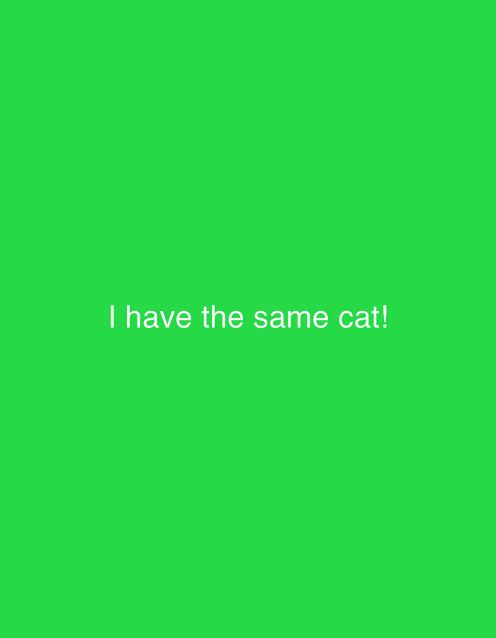 The image displays a solid green background. Centered on this background is white text that reads, "I have the same cat!". There are no discernible people, subjects, objects, actions, interactions, or environmental features that would indicate a specific physical location within the city of Dubai, United Arab Emirates, or any other real-world setting. The image is a digital graphic featuring text on a monochrome field.